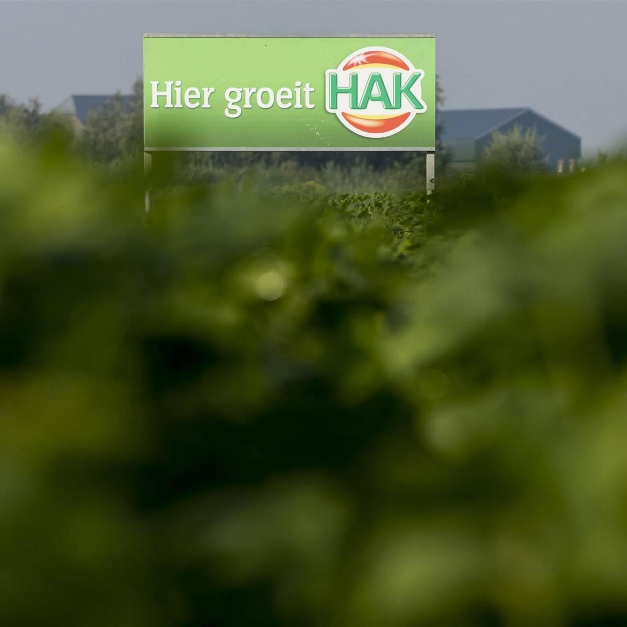 nieuwe topvrouw voor moederbedrijf groentefabrikant hak