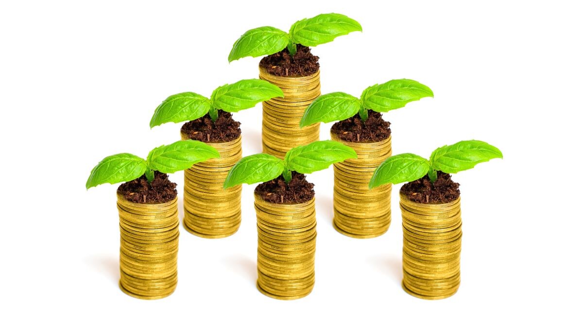 Beeld: Shutterstock
