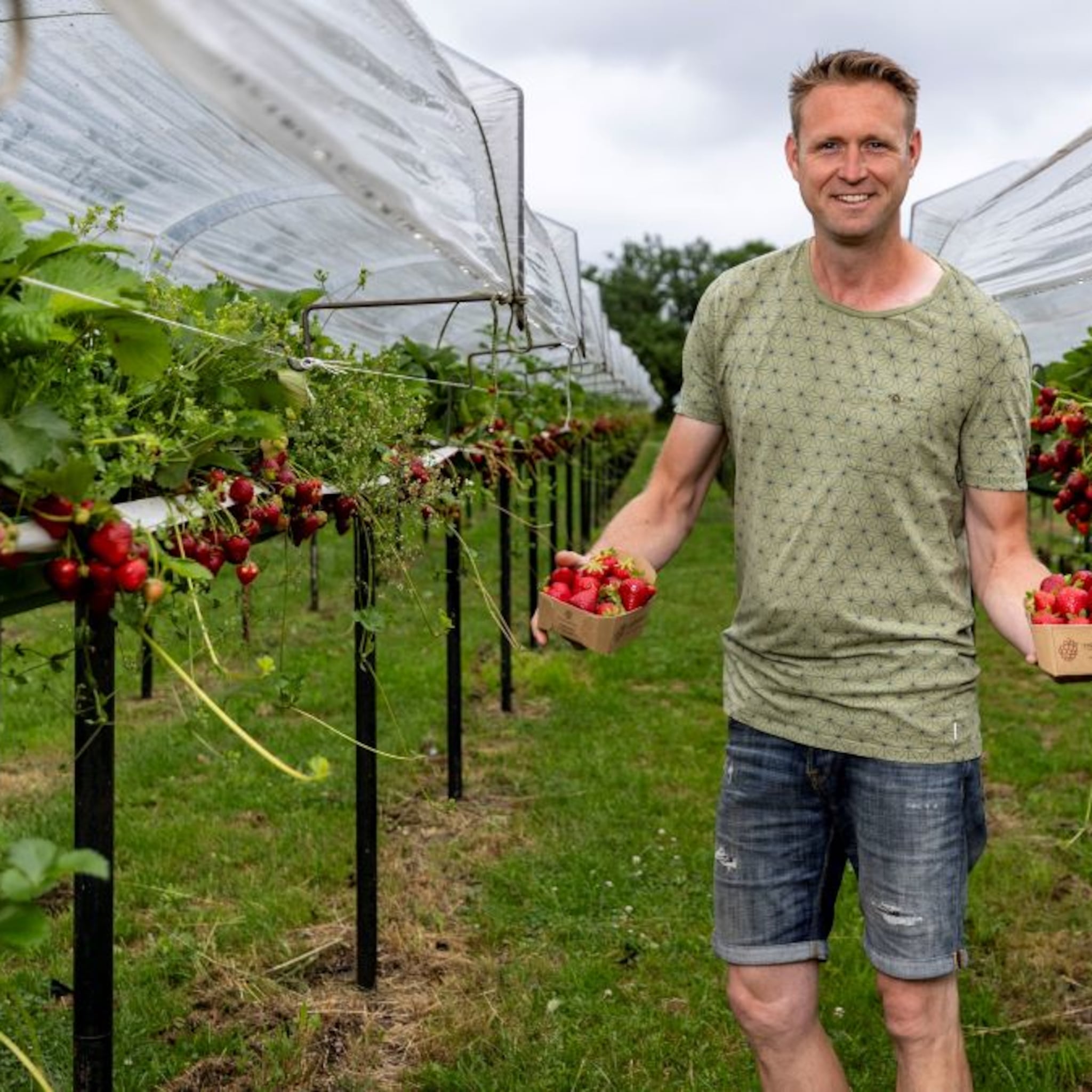 van rabobank naar fruitboer de opmerkelijke loopbaanswitch van wouter krabbe