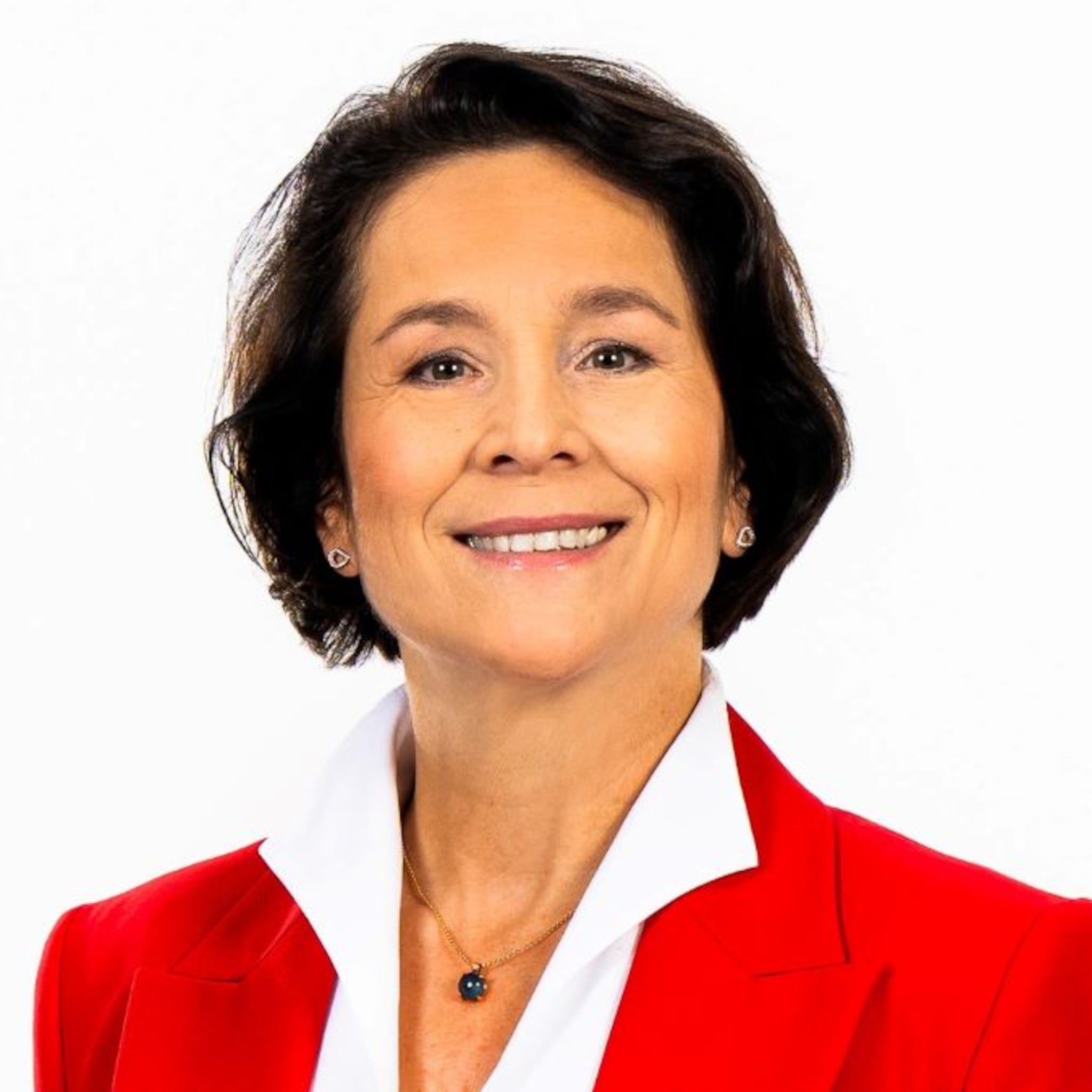 eva van pelt nieuwe voorzitter van de duits nederlandse handelskamer