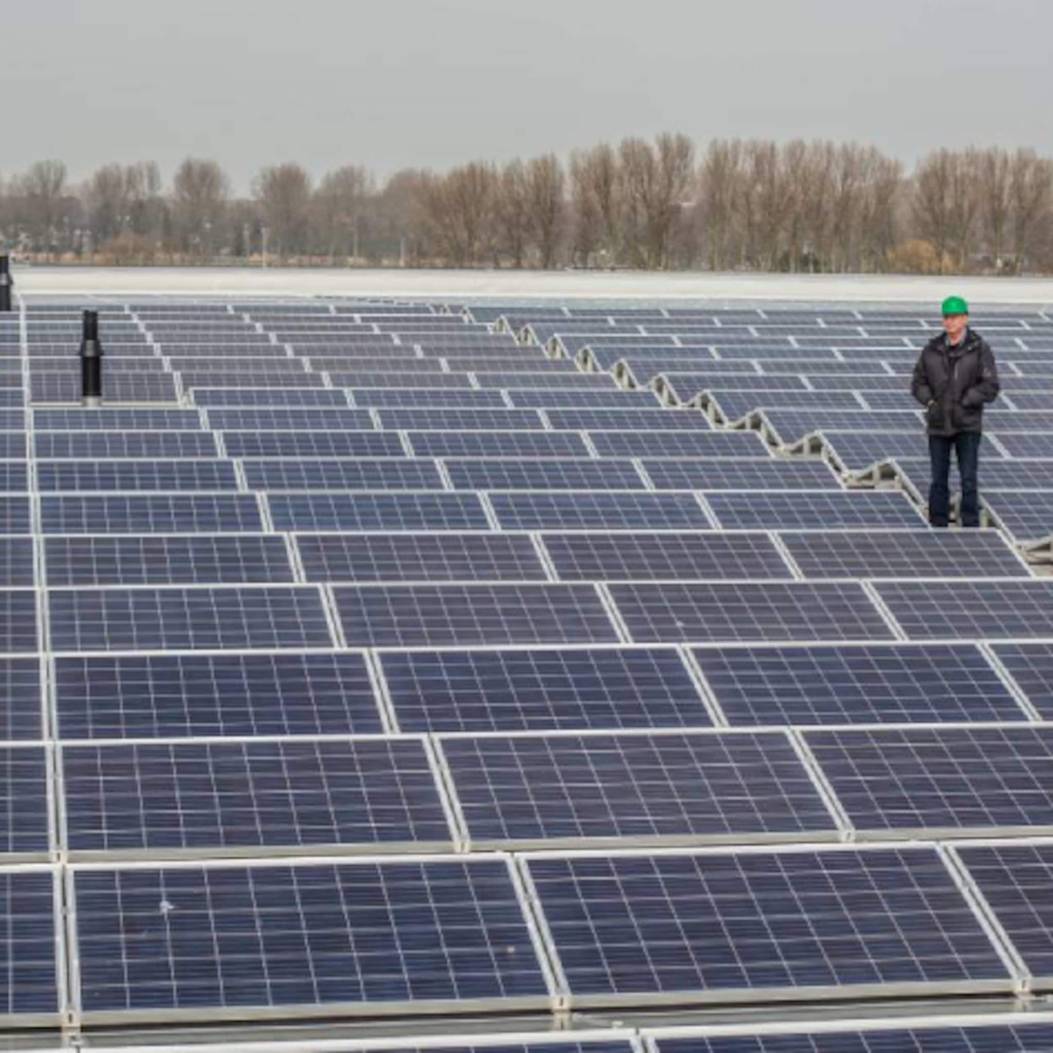 energie in overvloed maar westlandse ondernemers kunnen hun stroom niet kwijt zonnepanelen afgekoppeld