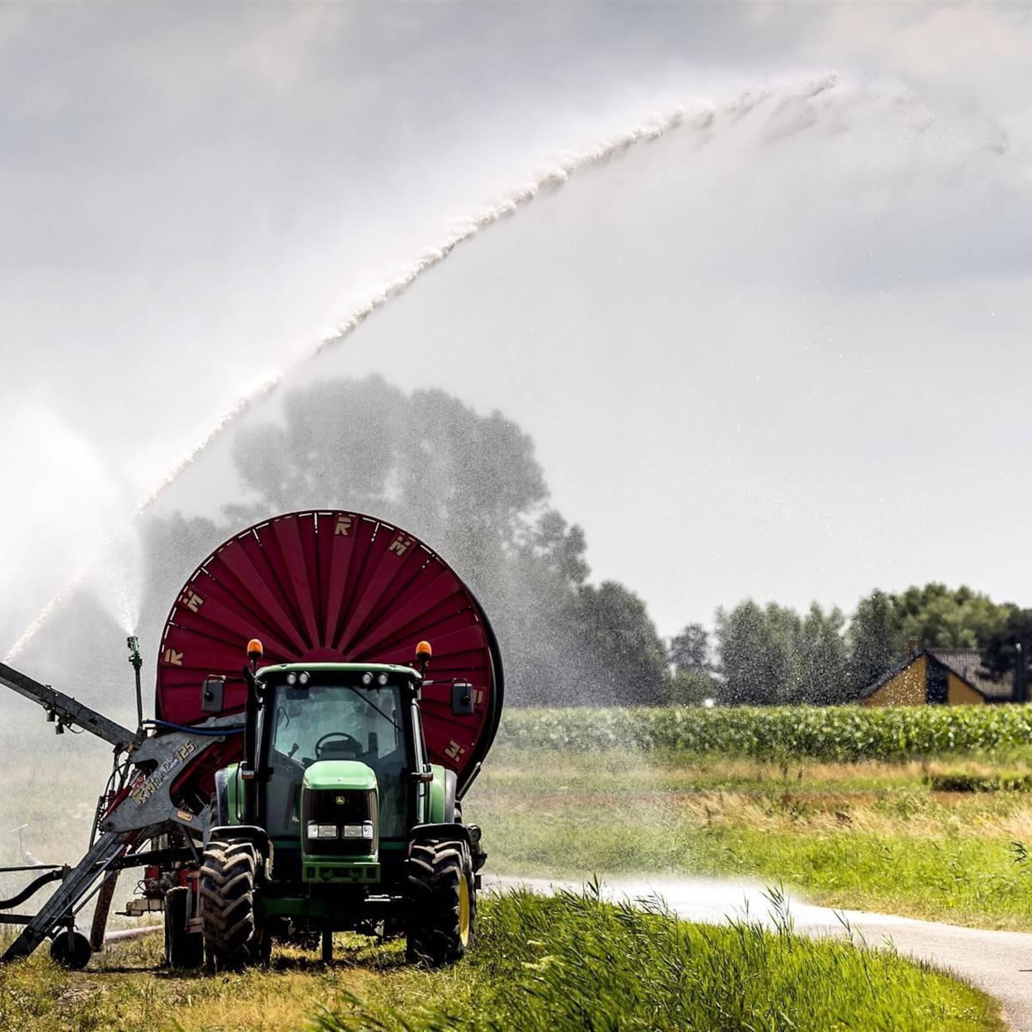 oeso direct actie nodig om verminderen stikstofdepositie landbouw