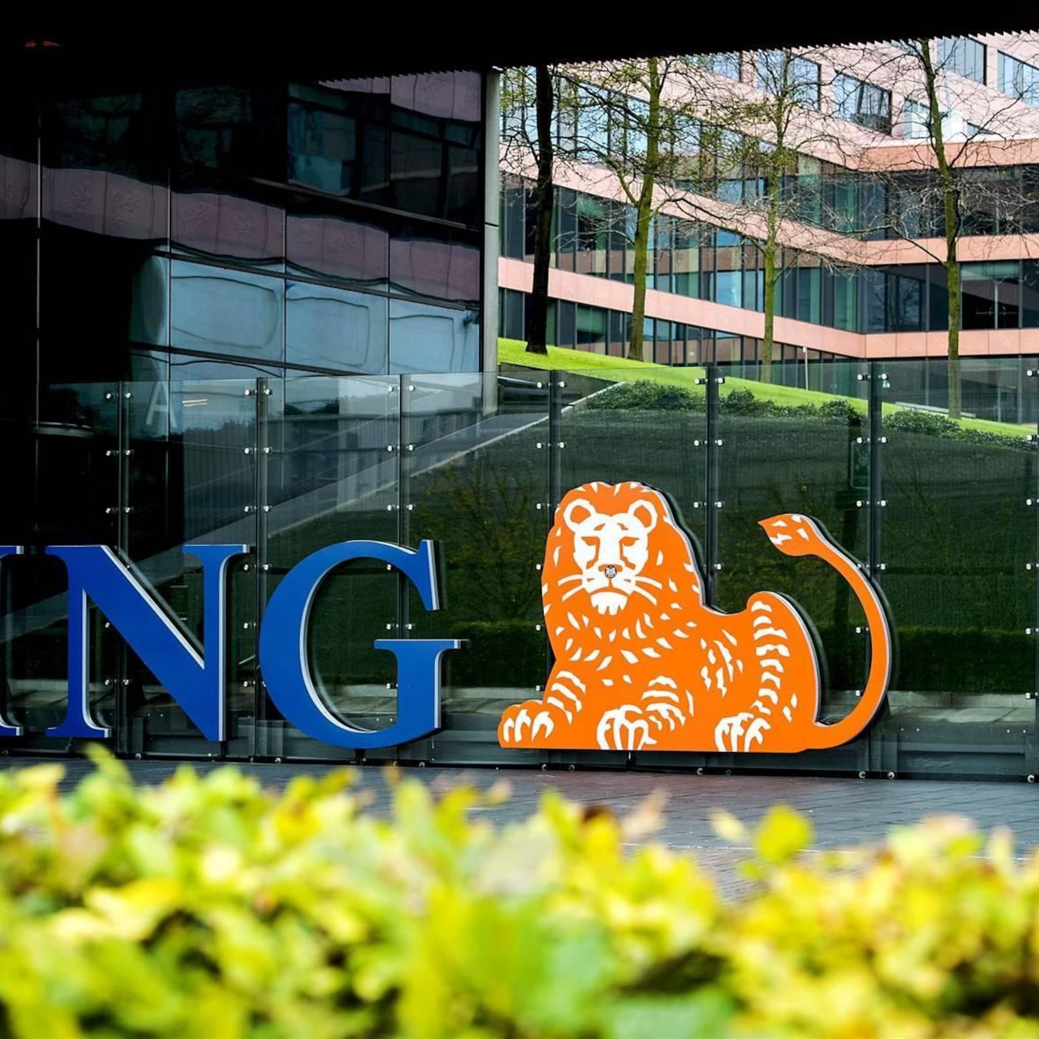 storing ing waarbij bedragen dubbel leken afgeschreven opgelost