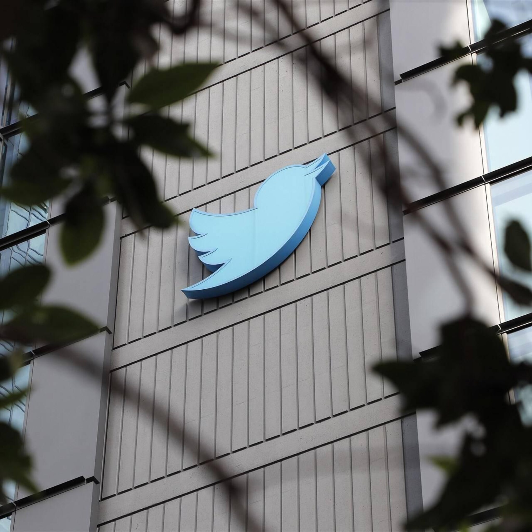 personeel begint rechtszaak tegen twitter om uitblijven bonussen