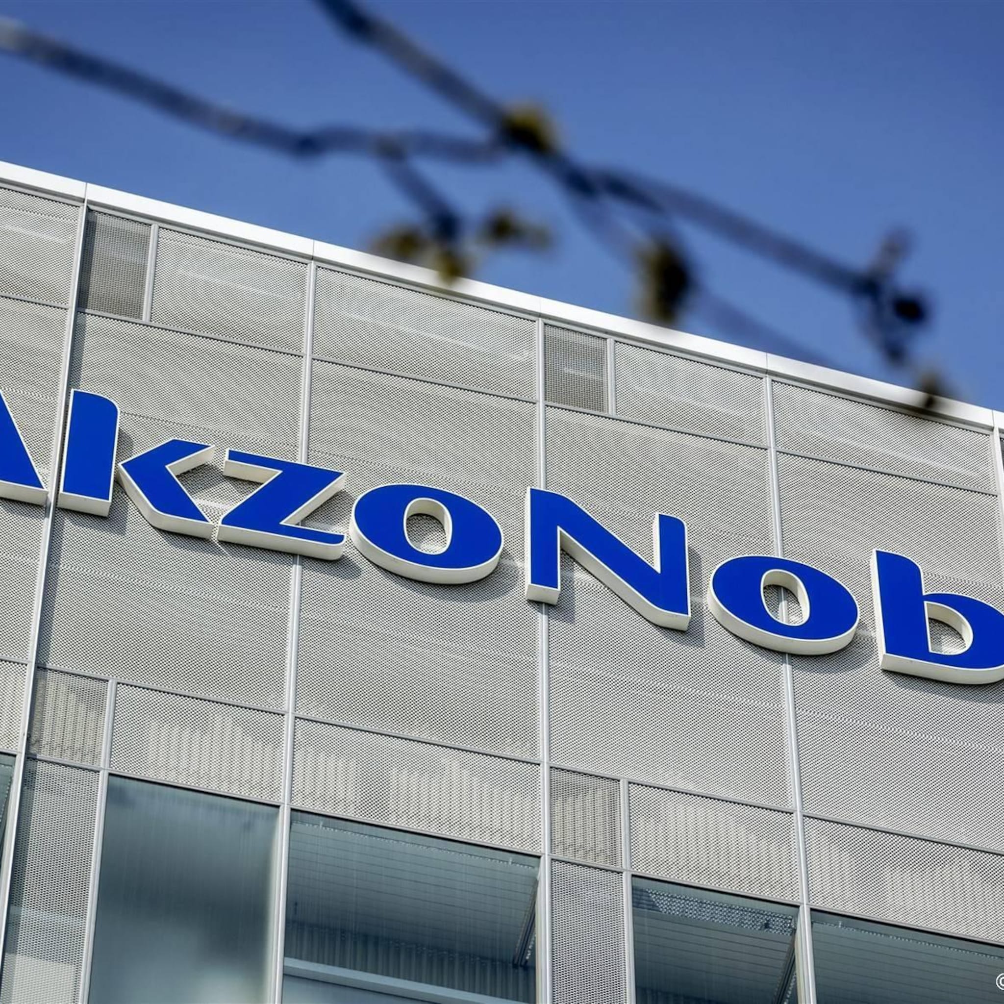 akzonobel en dsm firmenich onderaan in lagere aex