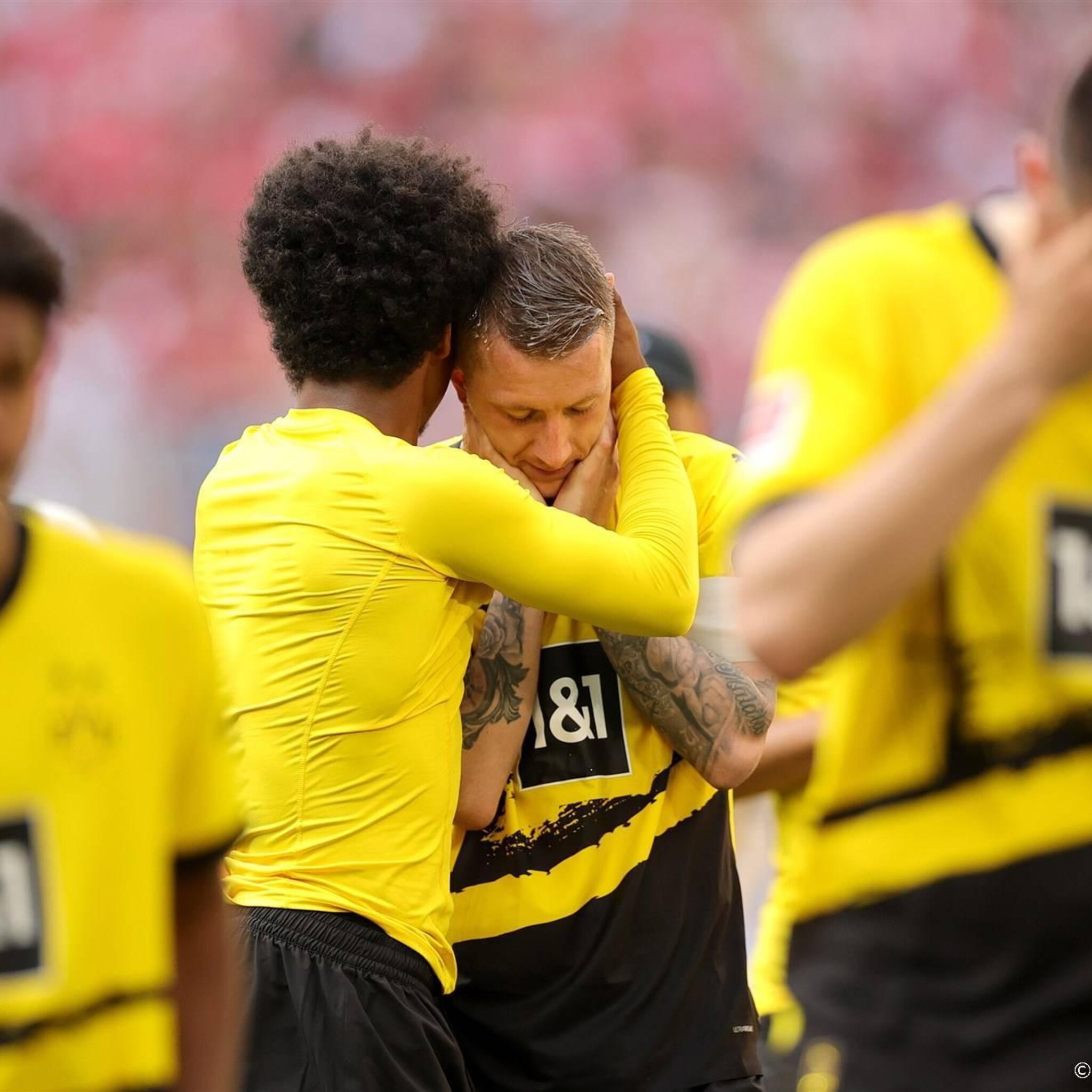 borussia dortmund flink onderuit op duitse beurs na missen titel