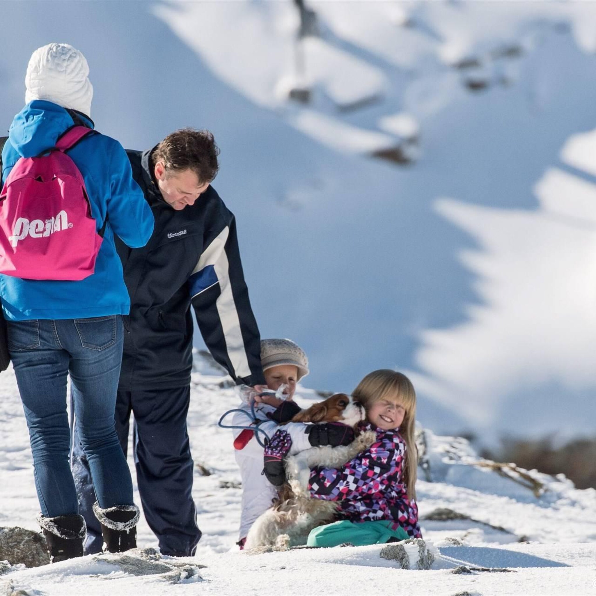 recordaantal nederlanders bezocht oostenrijk afgelopen winter
