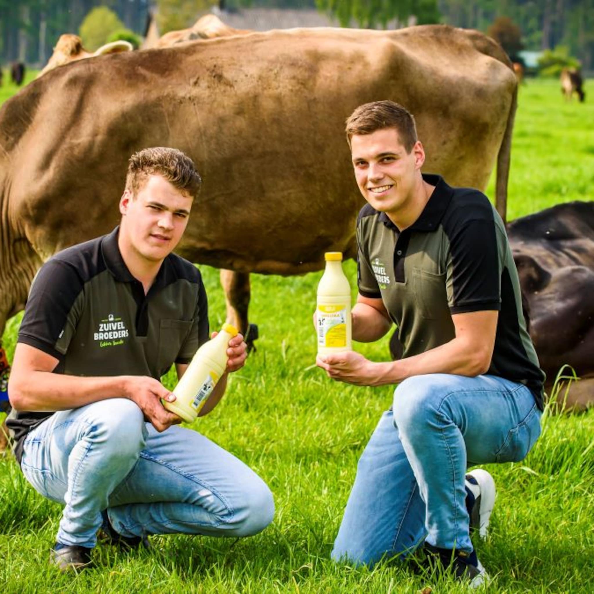 zuivelbroeders bart en erwin veroveren de supermarkt met hun yoghurt kwark en vla