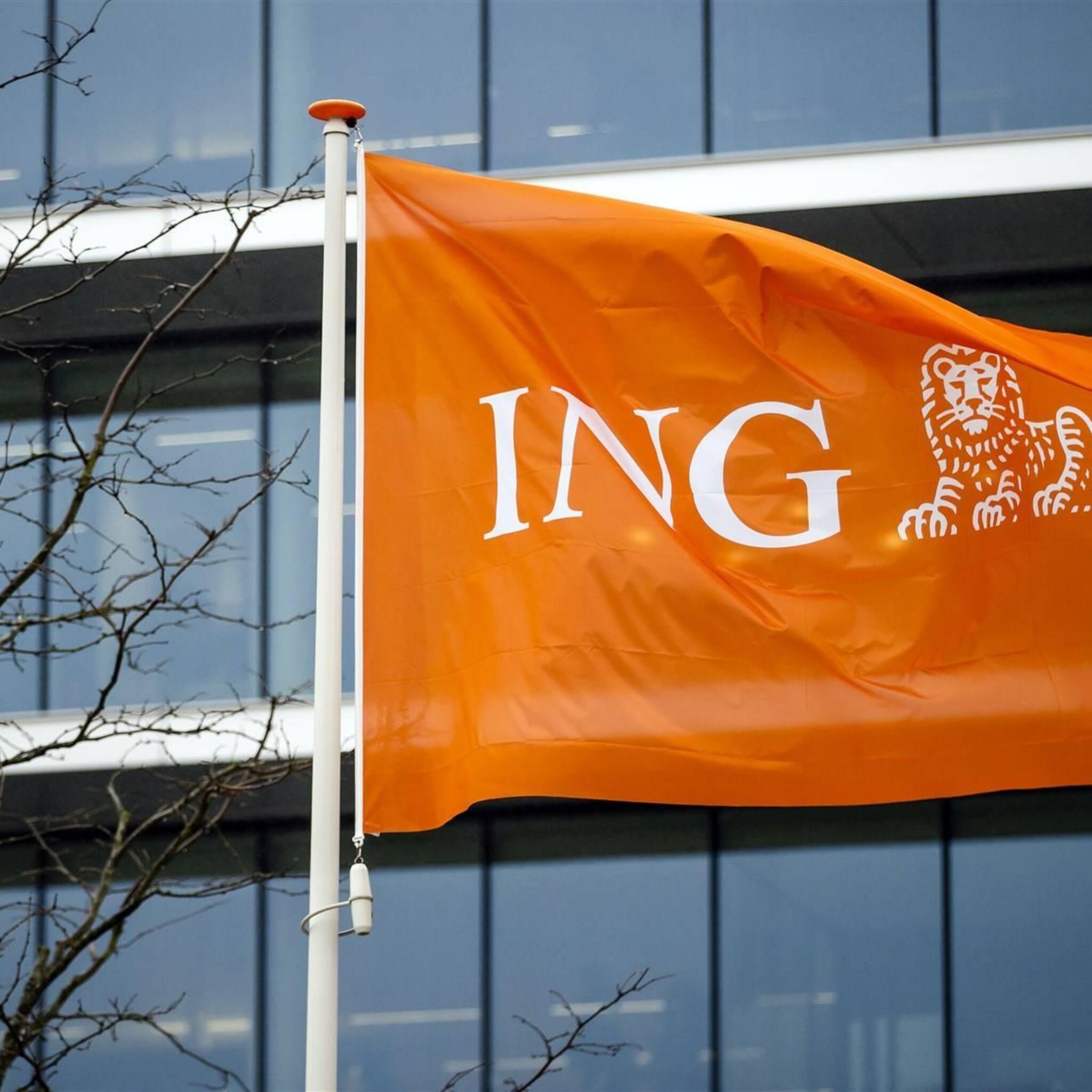 reclamewaakhond tikt ing op de vingers om te groen filmpje