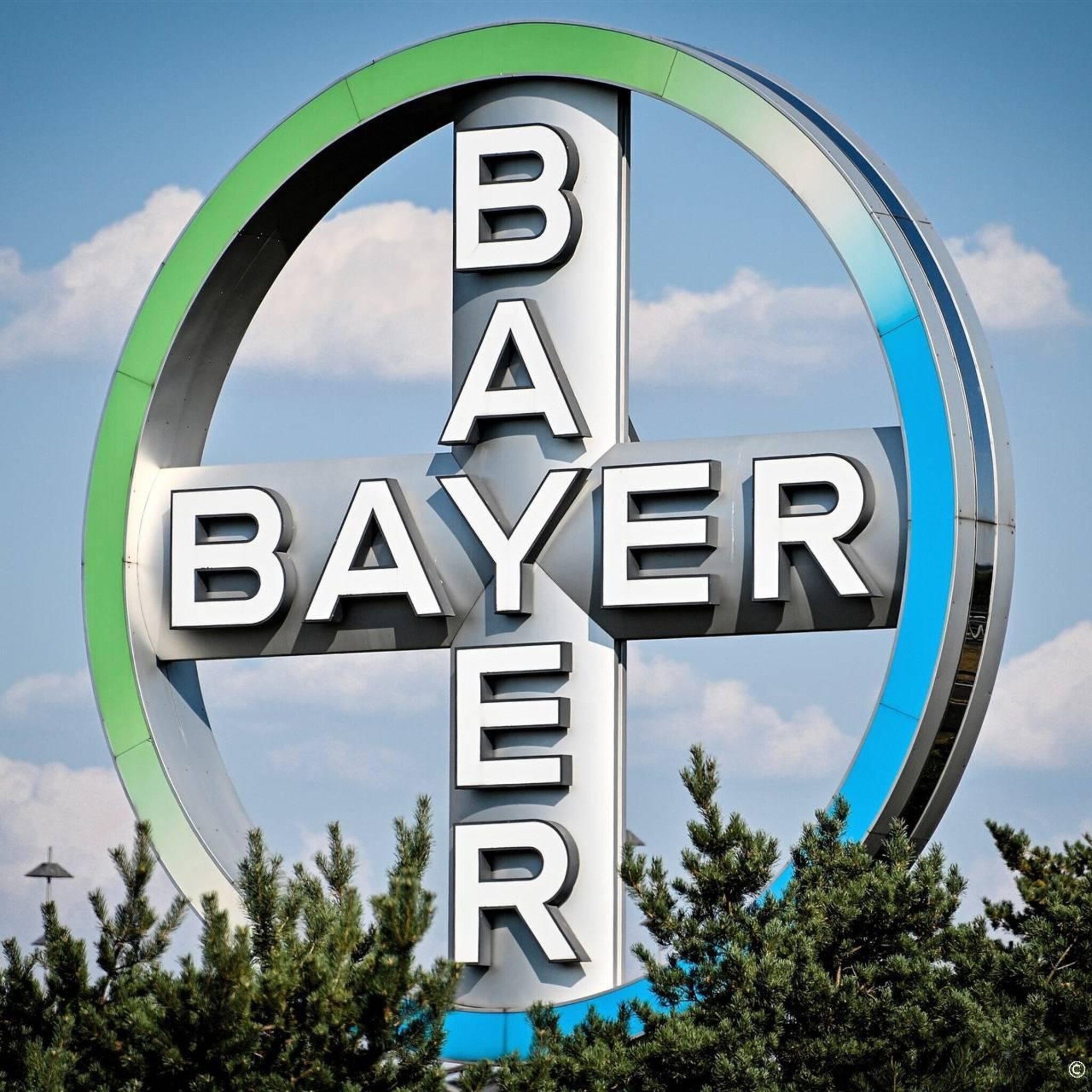 lagere prijzen bestrijdingsmiddelen zetten winst bayer onder druk