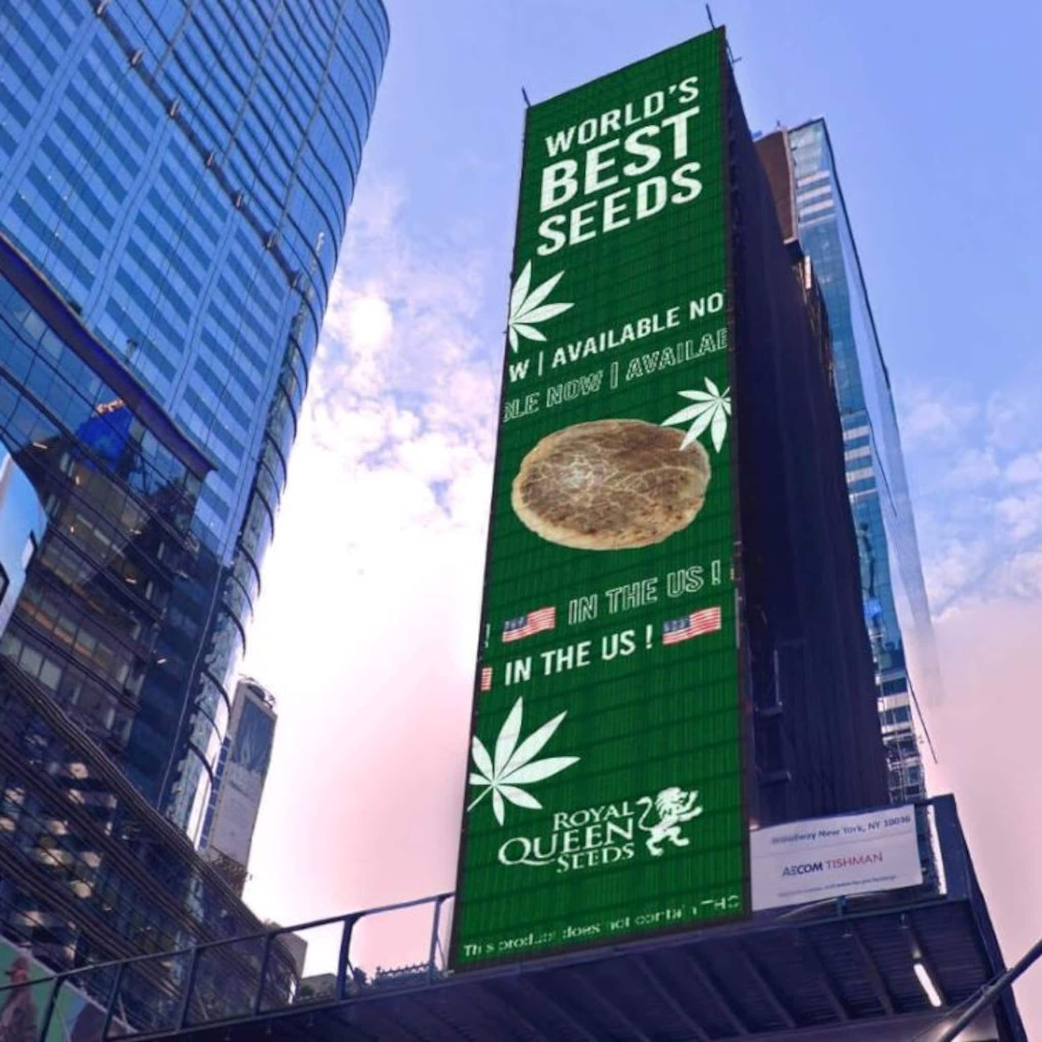 brabantse wietzaadjesbedrijf heeft voor even hoofdrol op times square in new york