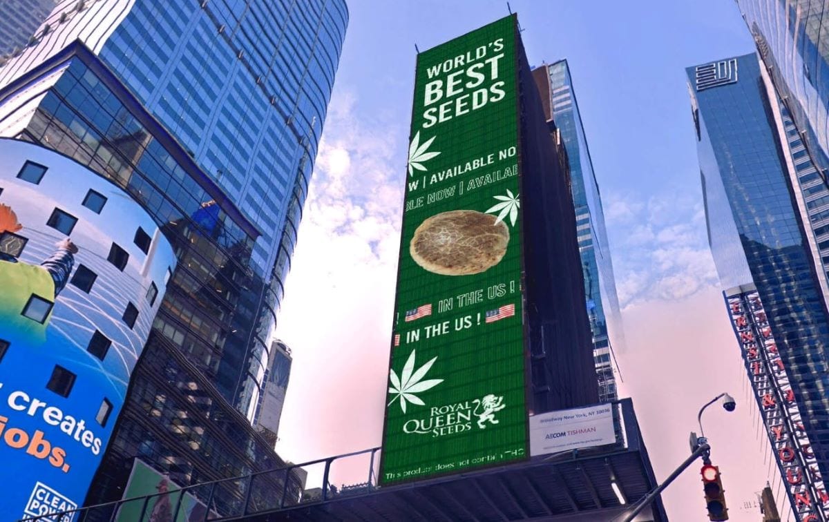 De billboardreclame van Royal Queen Seeds op Times Square in Manhattan. Foto: Royal Queen Seeds