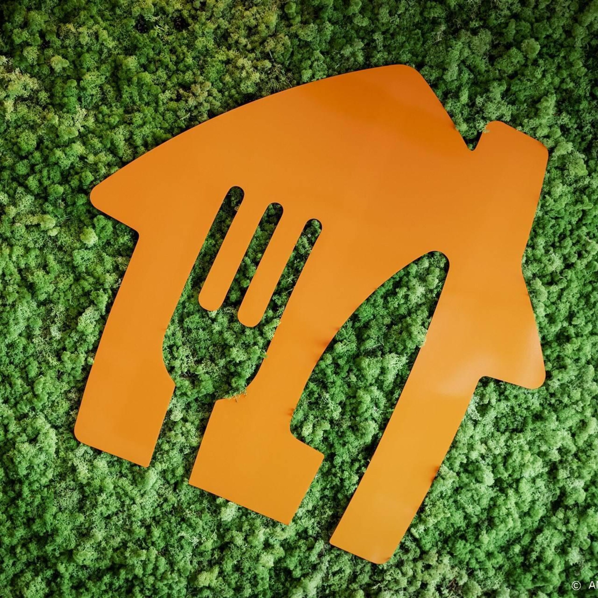 veel minder bestellingen voor moederbedrijf thuisbezorgd nl