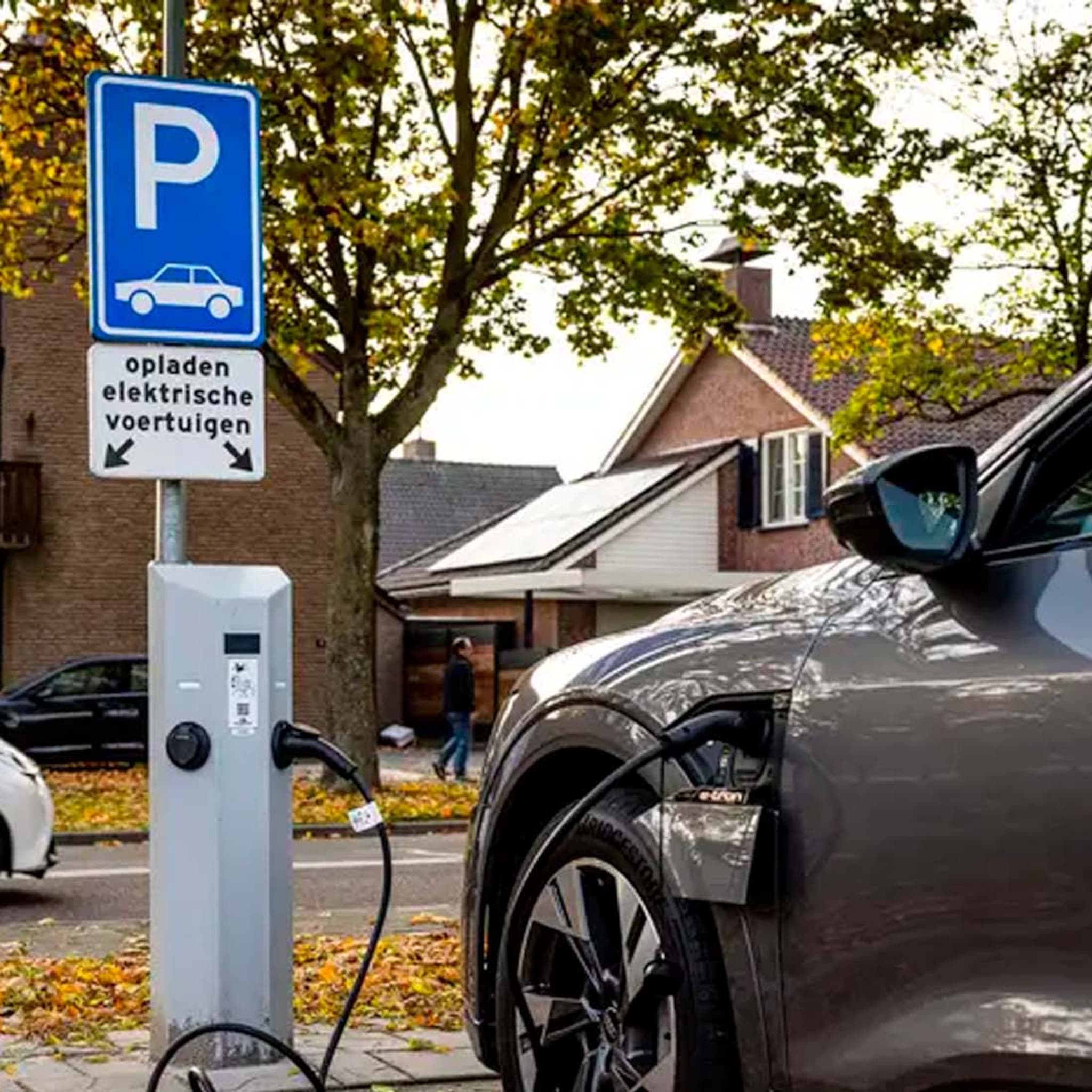 meeste leaserijders vinden elektrische auto s te duur