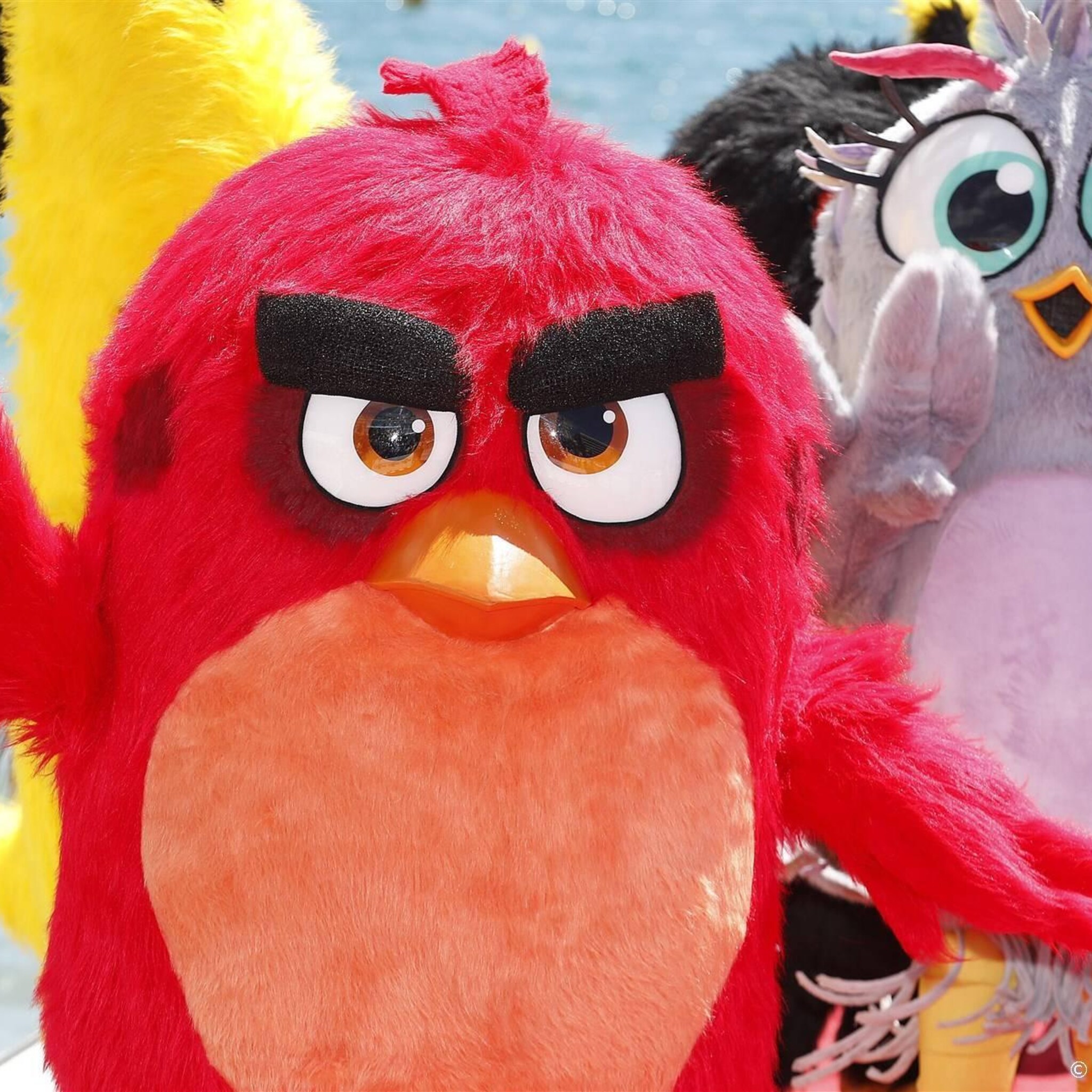 bedrijf achter sonic neemt maker angry birds over