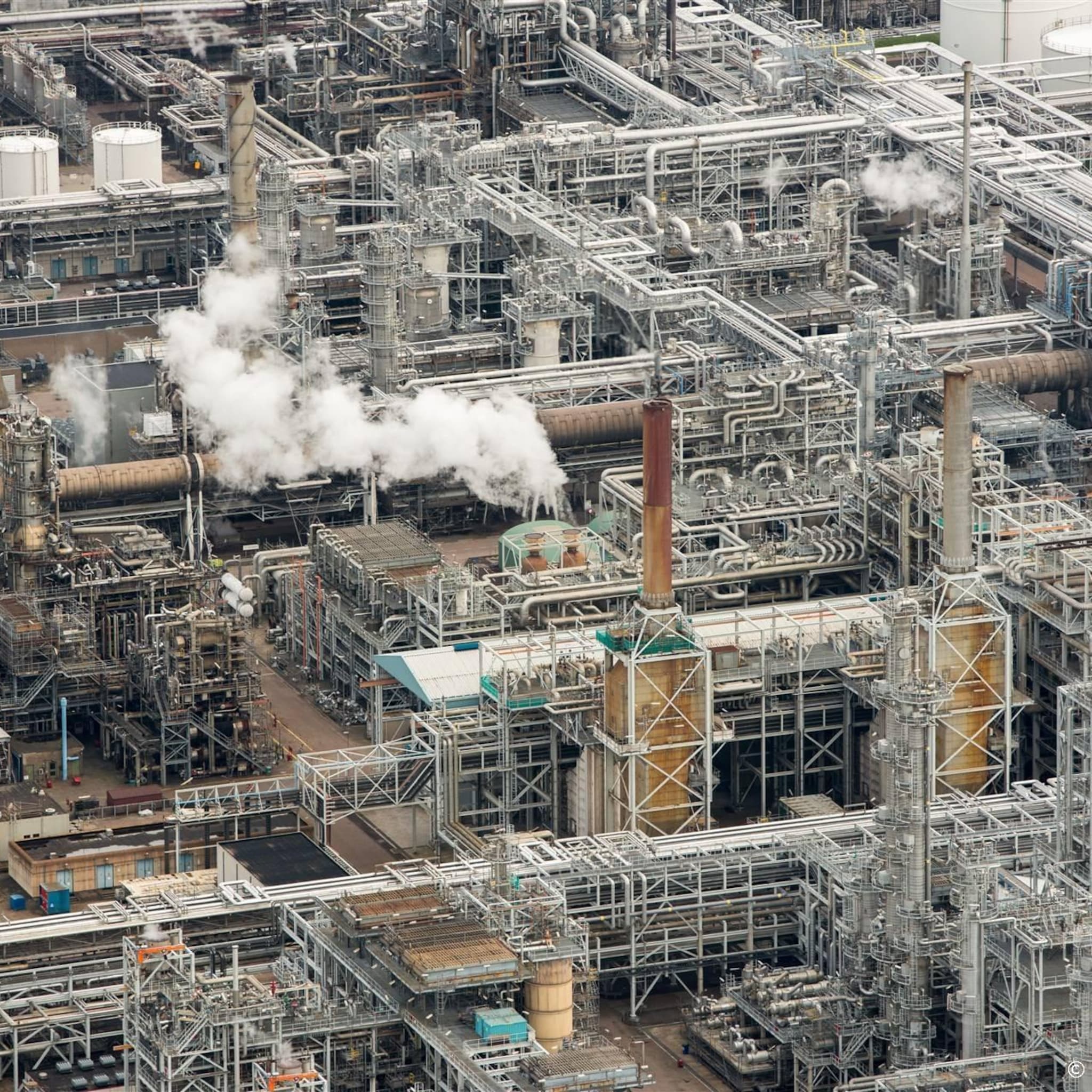 cbs impact oorlog in oekraine op nederlands olieverbruik beperkt