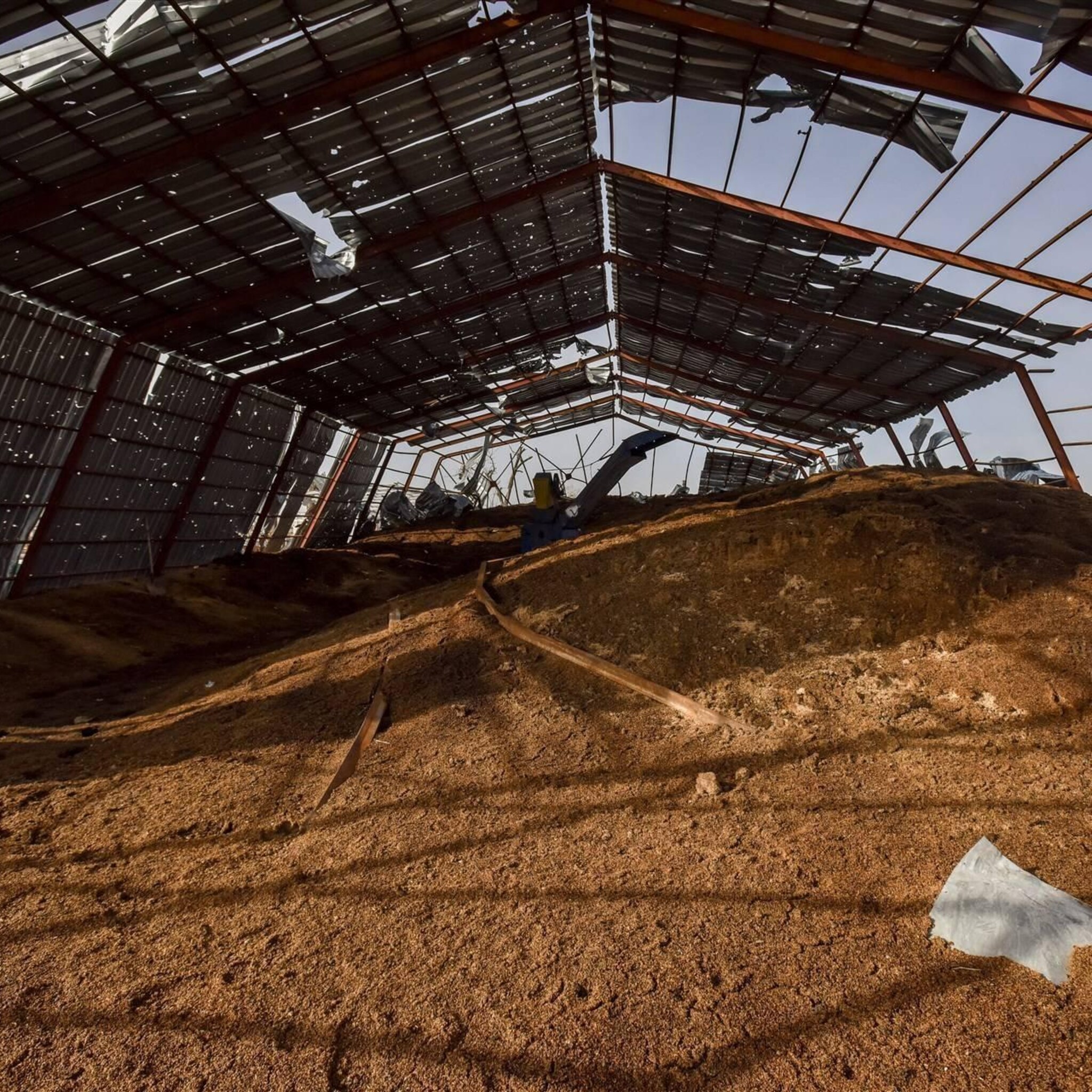 europese commissie hekelt invoerverboden oekraiens graan