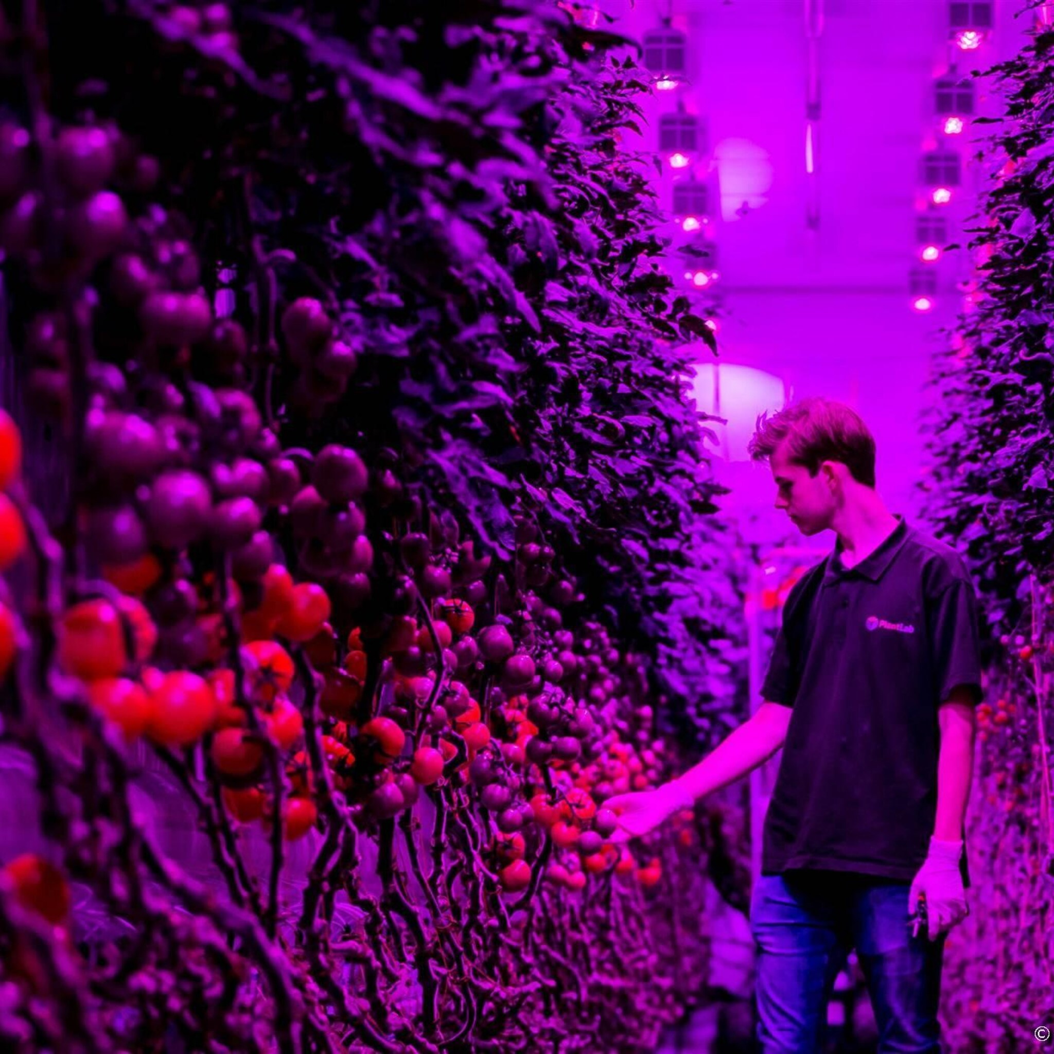 onderzoek verduurzaming mkb bedrijven versnelt dit jaar