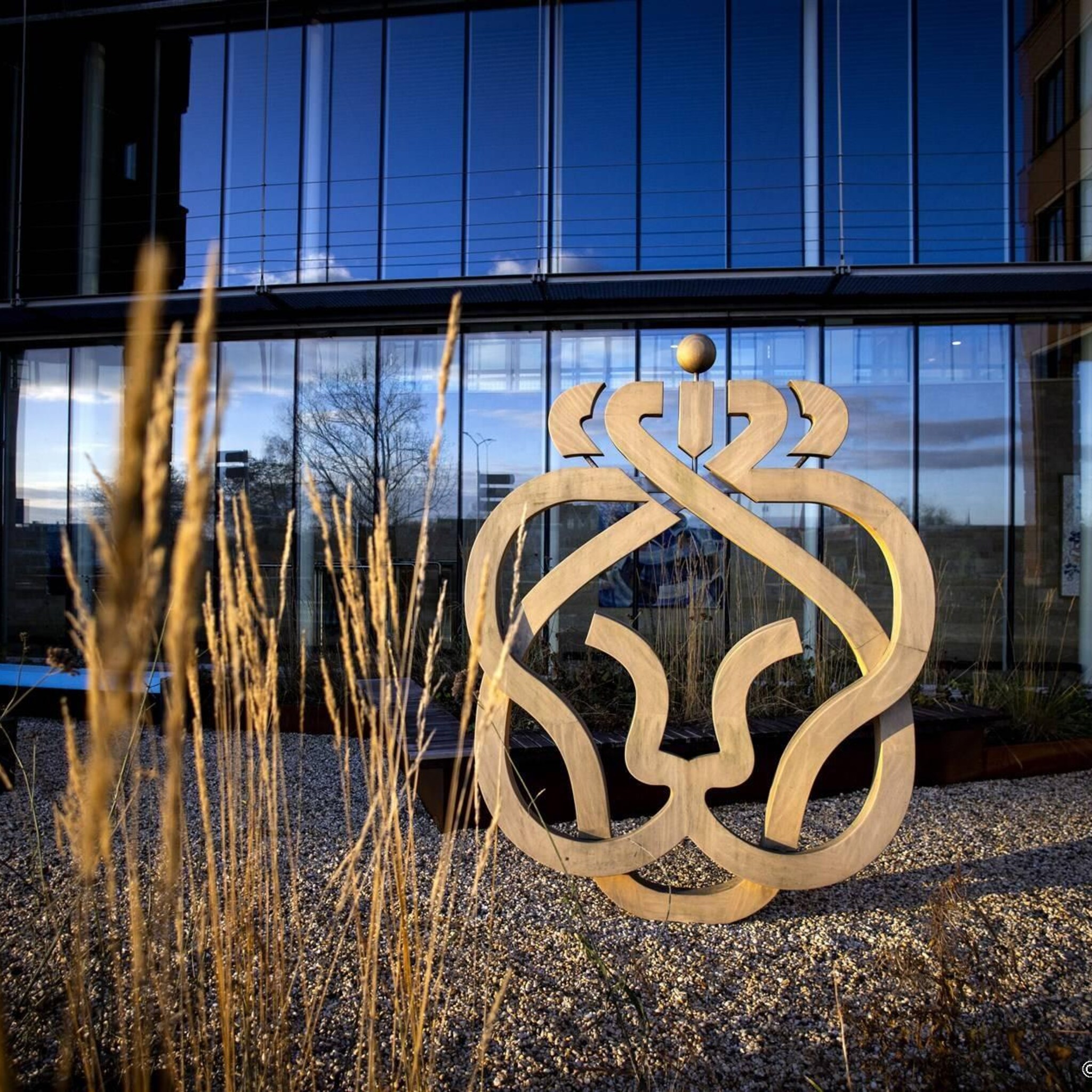 honderd klimaatactivisten bij vergadering ahold delhaize verwacht