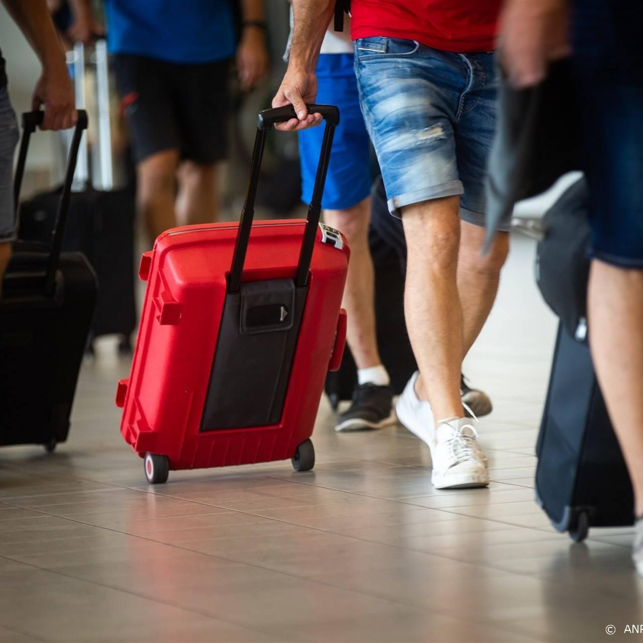 toerismebureau nederlanders pakken vaak vliegtuig voor vakantie