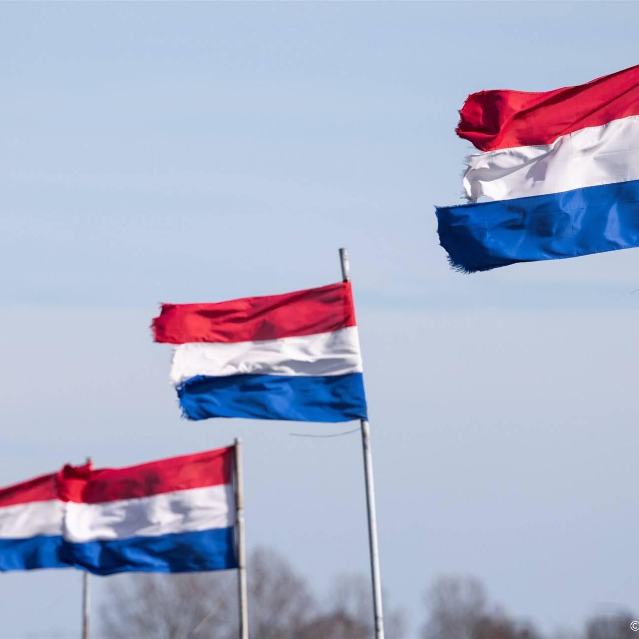 nederlandse industrie produceerde minder