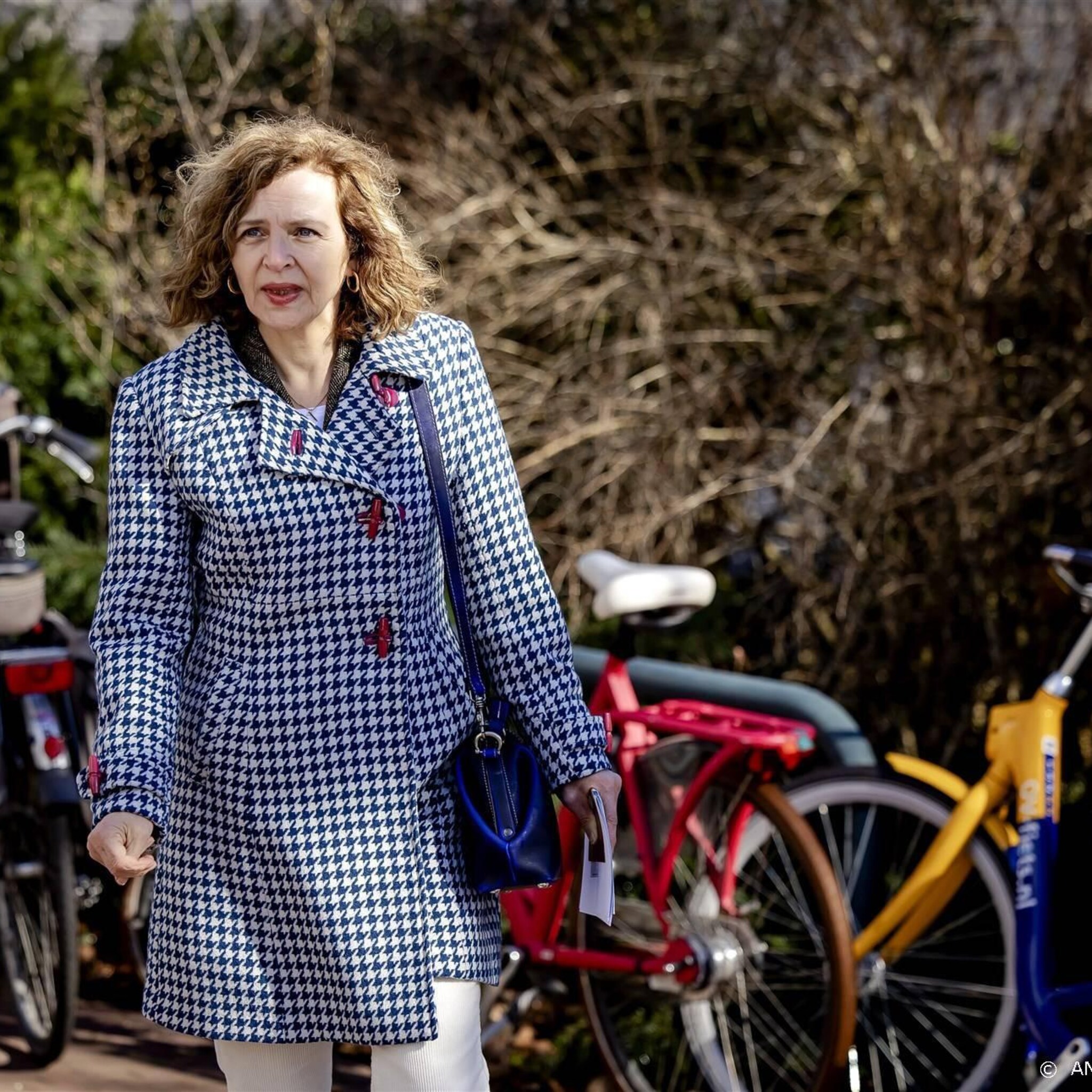 eerste kamerkandidaat schippers gaat ander werk doen bij dsm