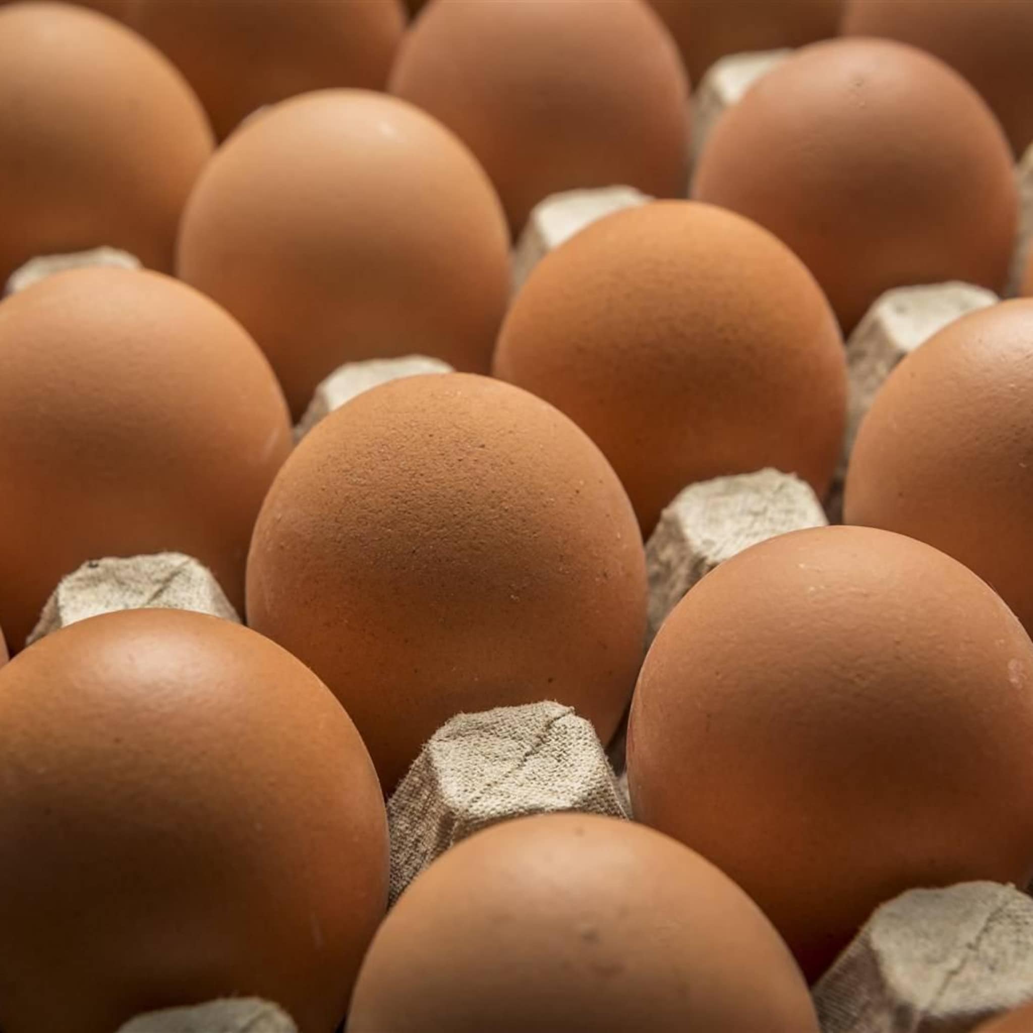 eieren in jaar tijd ruim een kwart in prijs gestegen