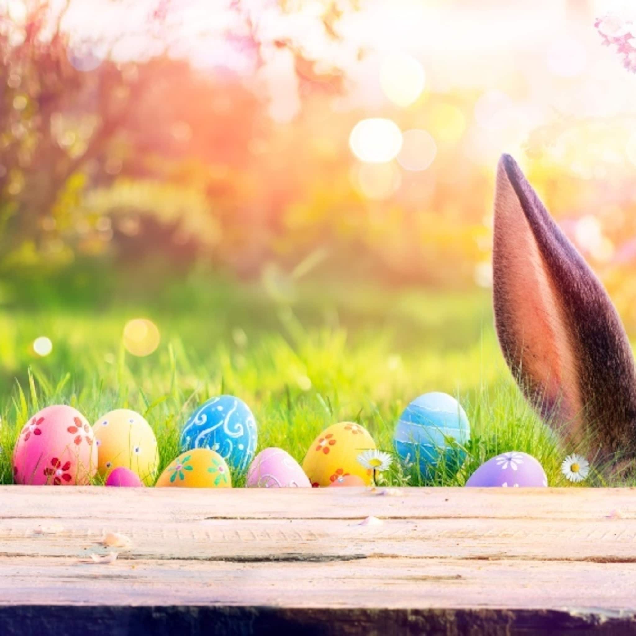 overzicht openingstijden supermarkten tijdens pasen 2023