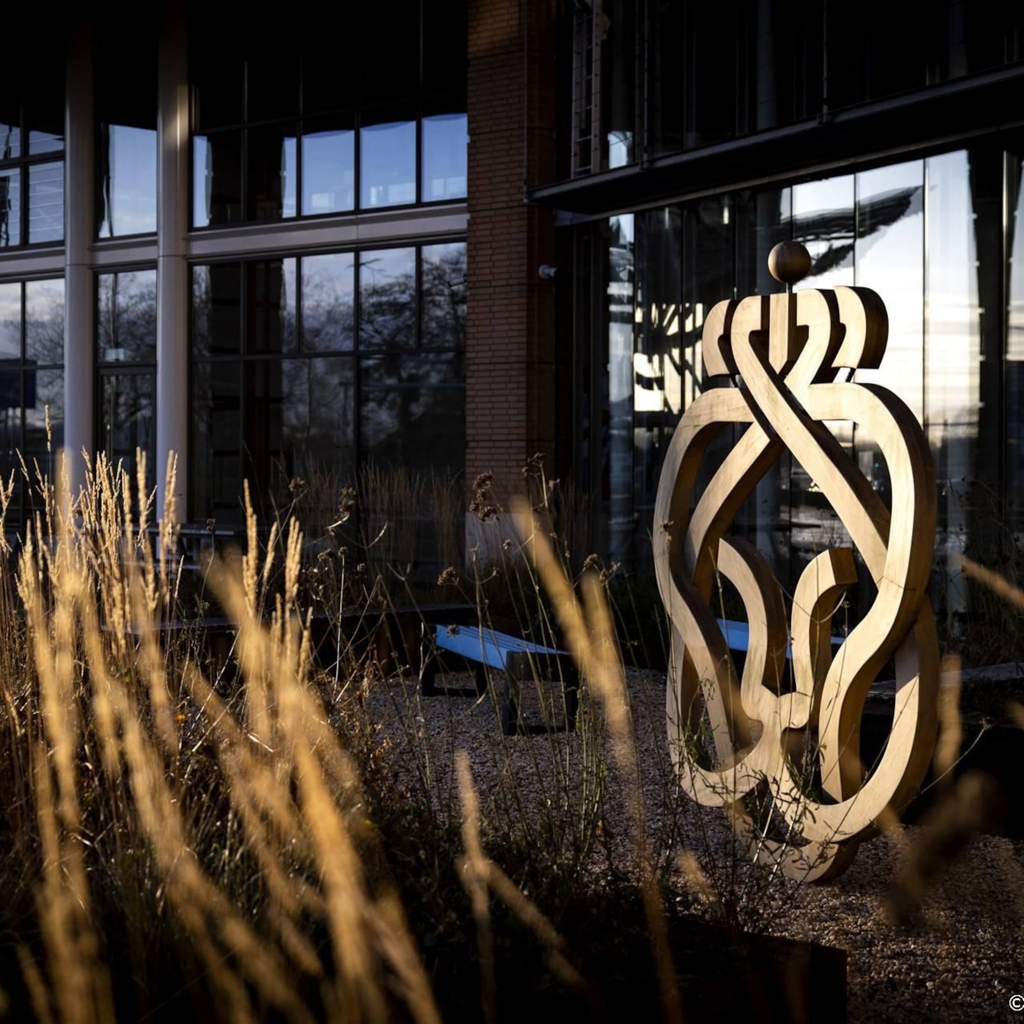 ahold delhaize en heineken aan kop in licht hogere aex