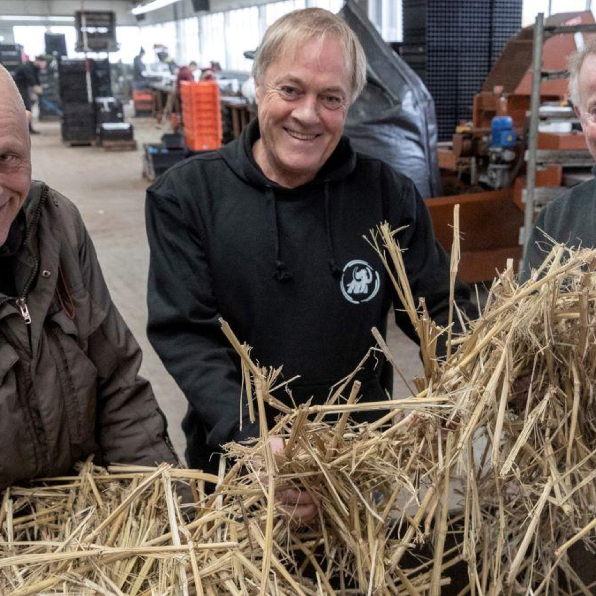 heeft dutch plant force met mammoetgras het wondermiddel tegen stikstof voor veehouders