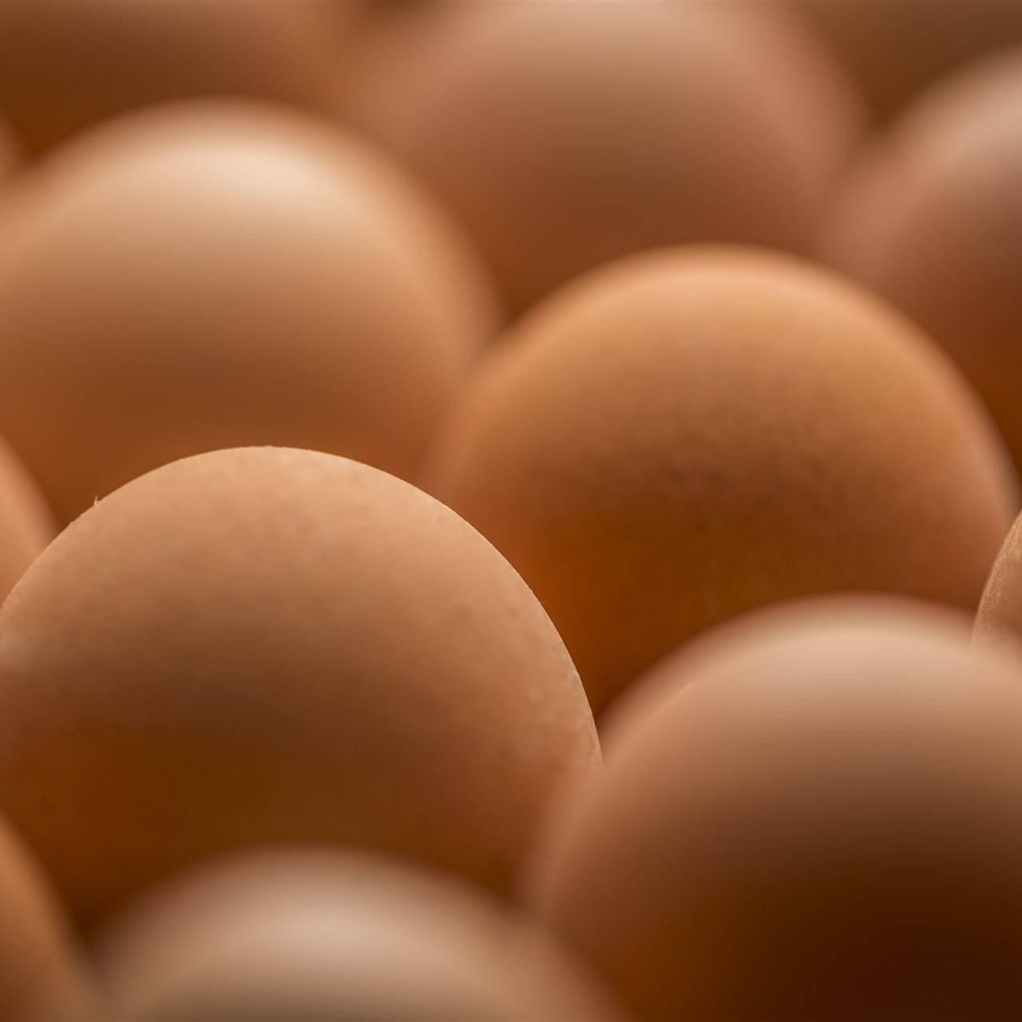 eurostat prijzen landbouwproducten stijgen in een lager tempo