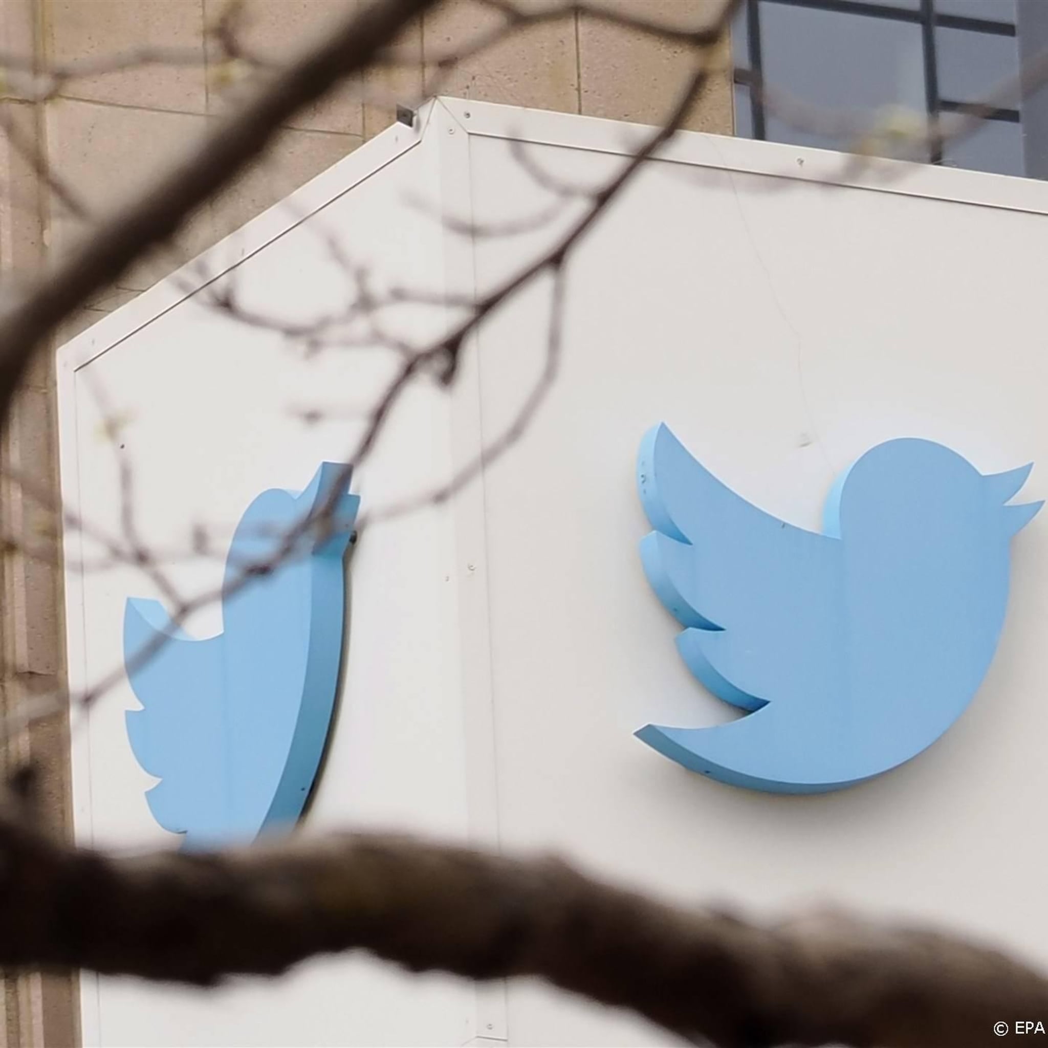 insider twitter overtreedt eu regels door niet meetellen btw