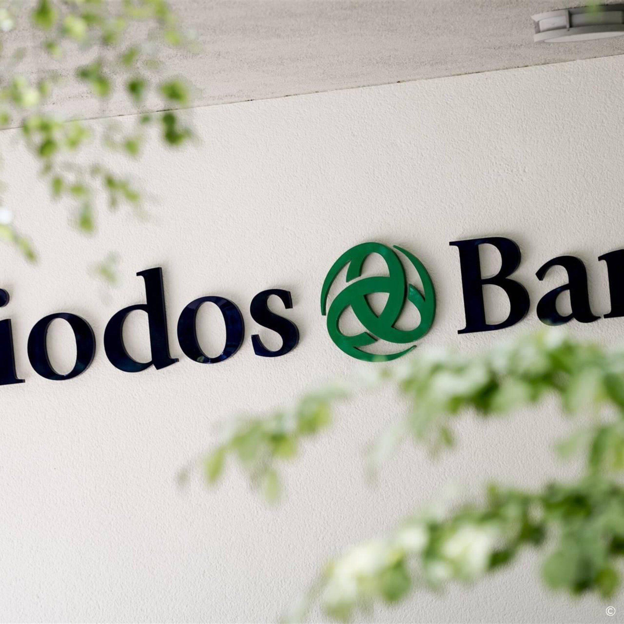 ondernemingskamer onderzoek bij triodos is in niemands belang