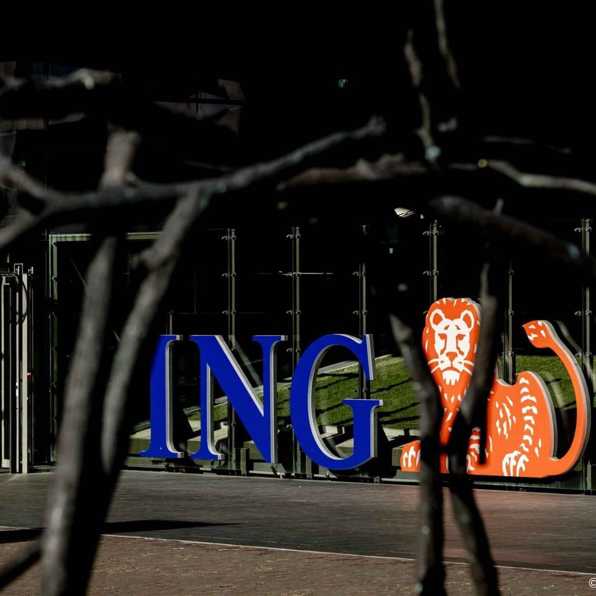 financien nederlandse banken weerbaar om schokken op te vangen