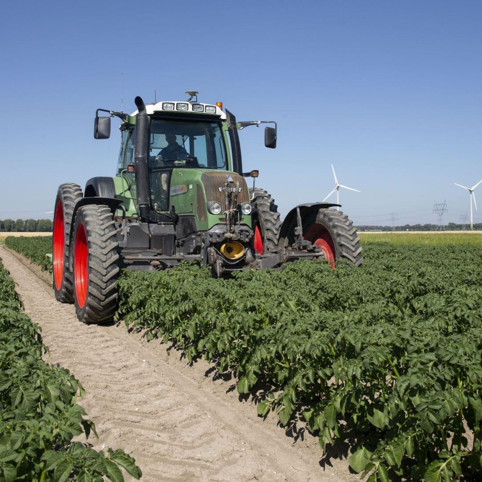 mvo nederland lanceert collectief natuurlijk eten en drinken