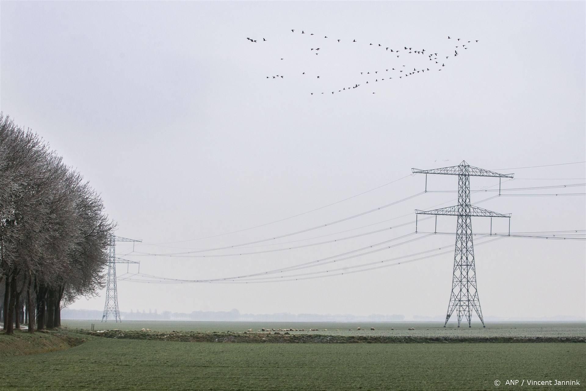 beeld deondernemer