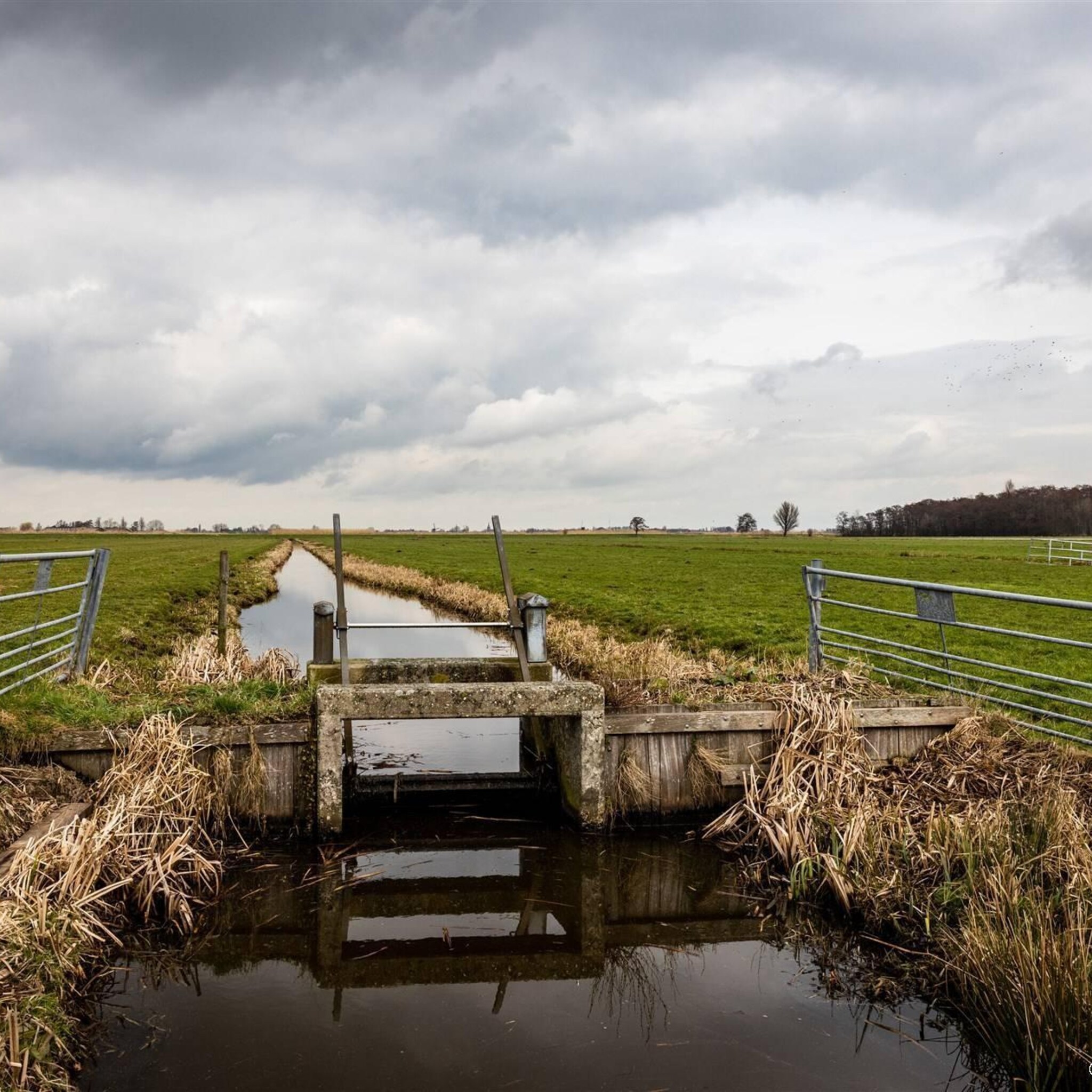 waterschappen heffen 260 miljoen euro meer aan belastingen