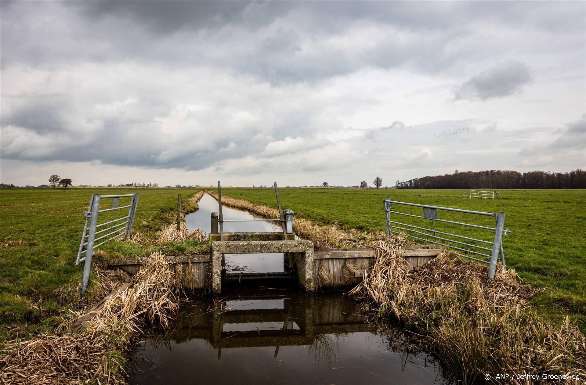 beeld deondernemer