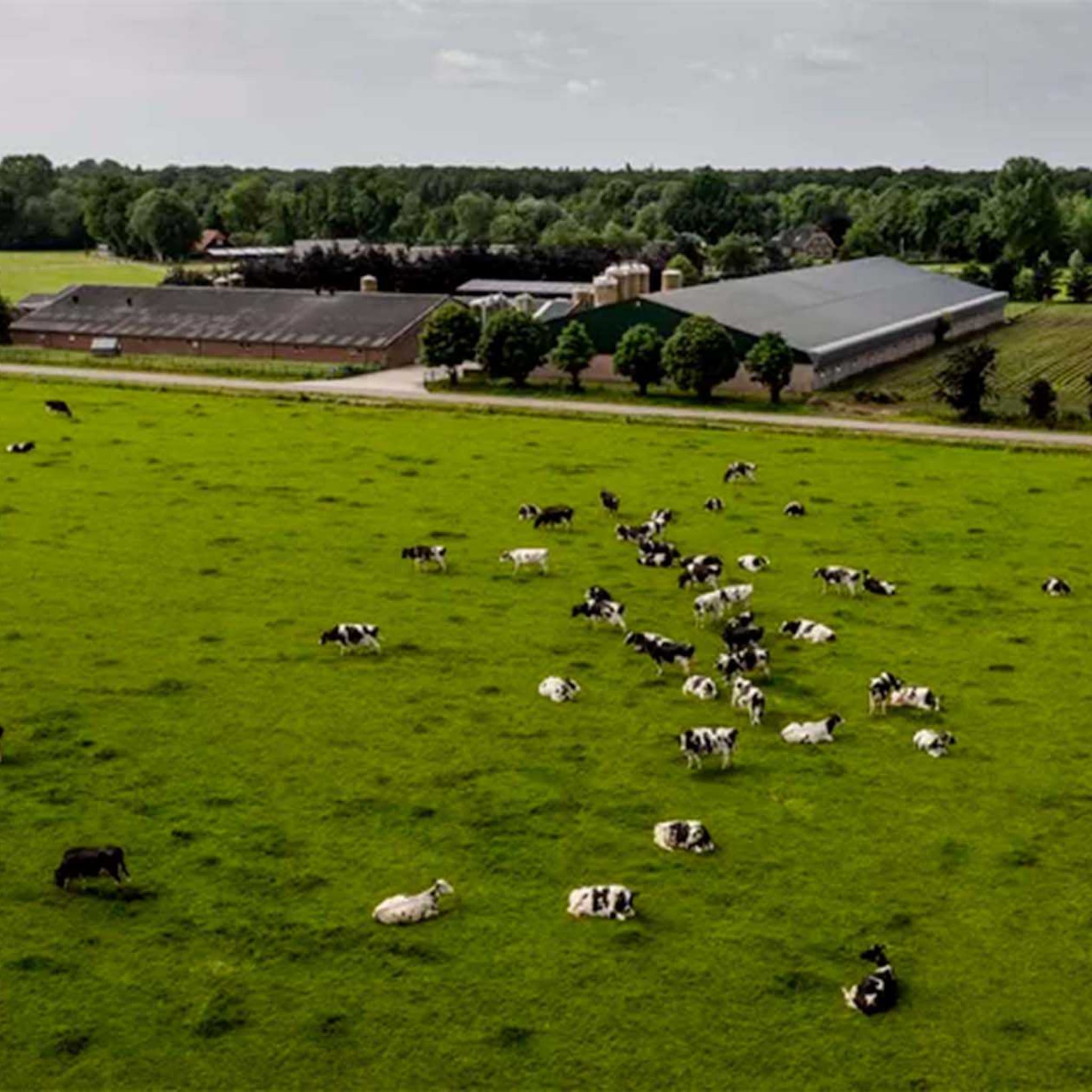 factcheck pvda en groenlinks willen van de boeren af zegt rutte maar klopt dit wel