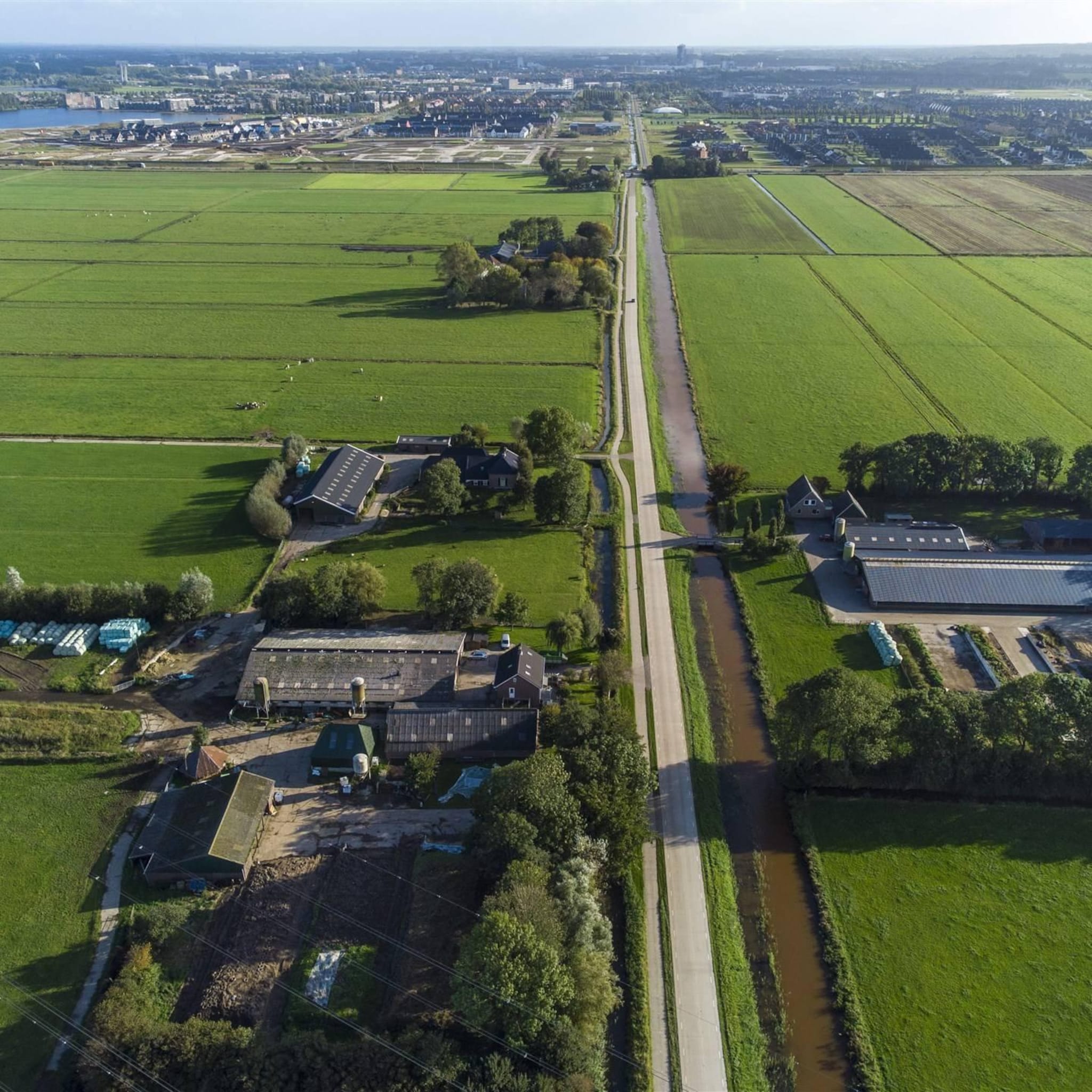boeren willen actie tegen nieuwbouw in weilanden
