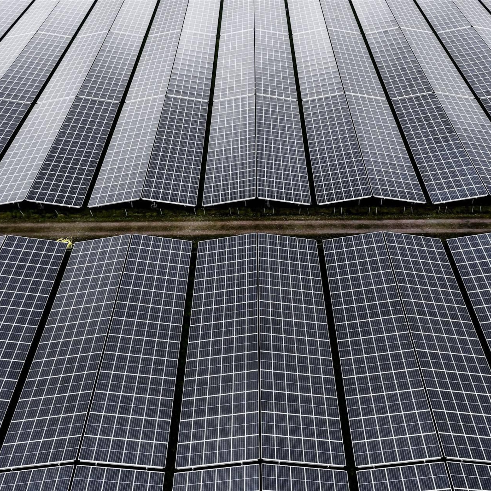 cbs steeds meer elektriciteit gewonnen uit hernieuwbare bronnen