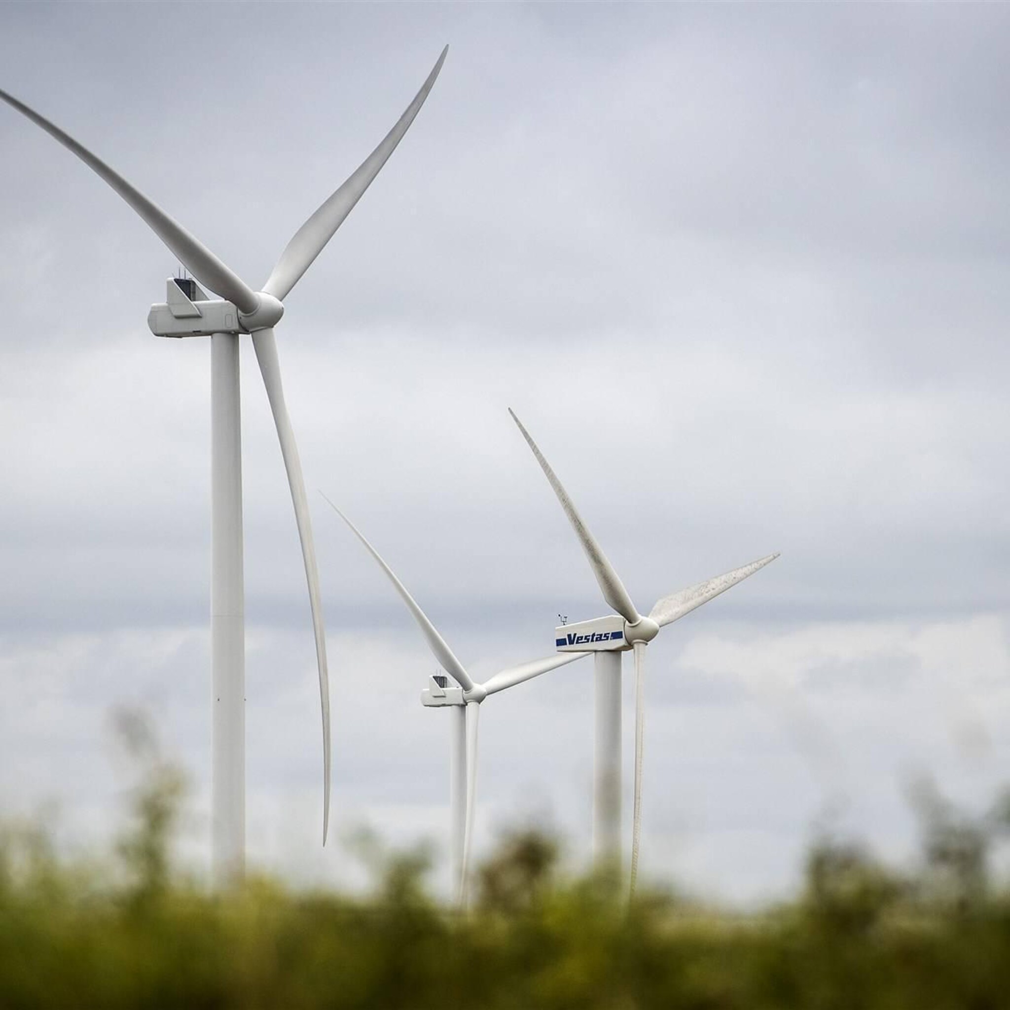 cbs steeds meer elektriciteit gewonnen uit hernieuwbare bronnen