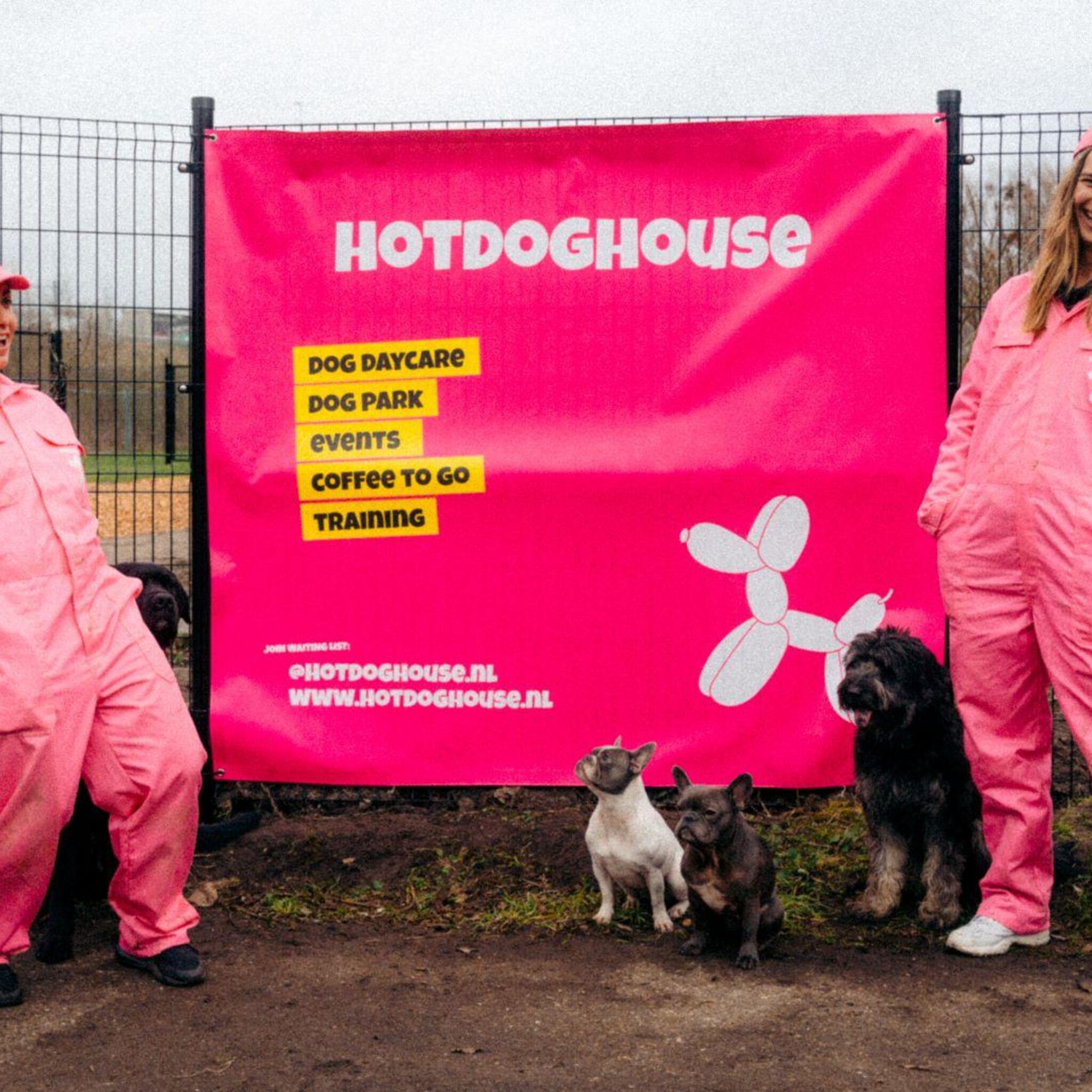 de eerste membersonly club voor honden heeft puppy yoga een hondenballenbak en dogmovie nights