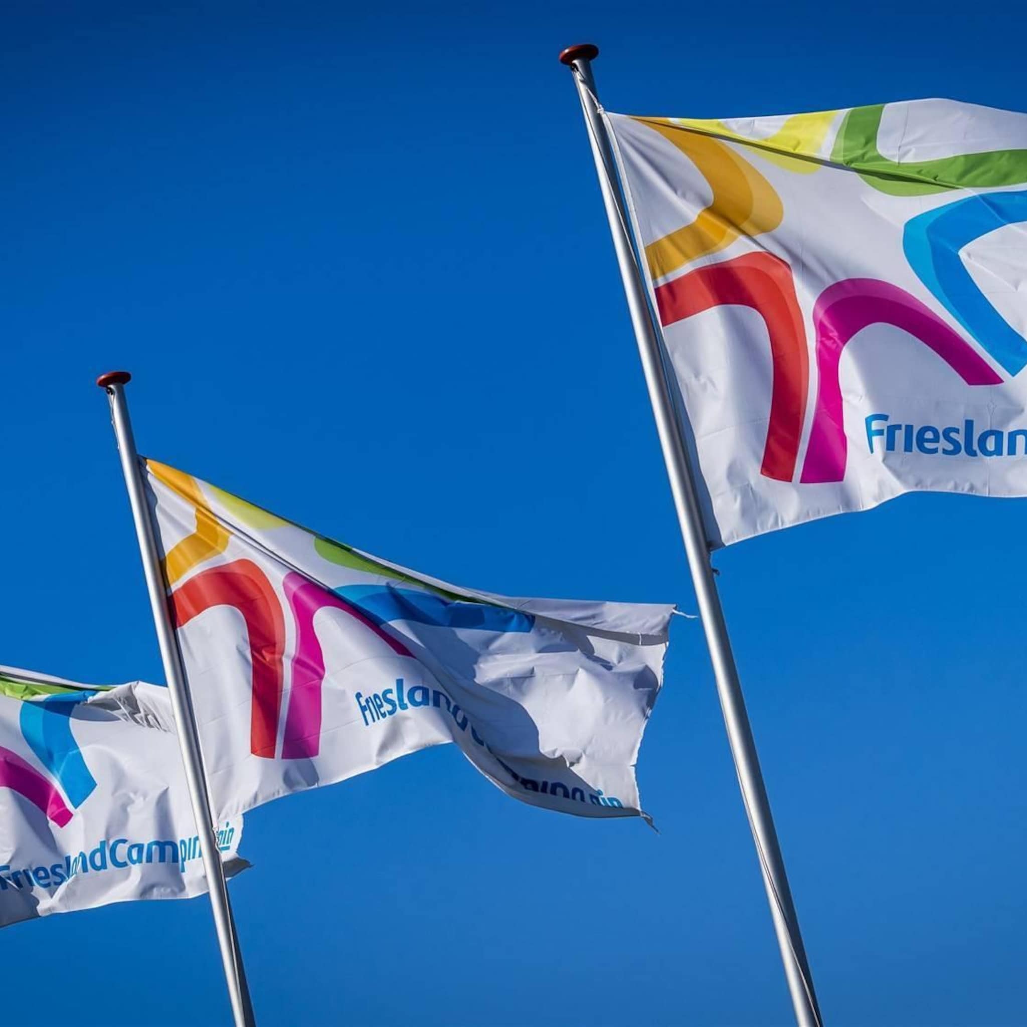 frieslandcampina maakt boter in lochem banen in den bosch weg
