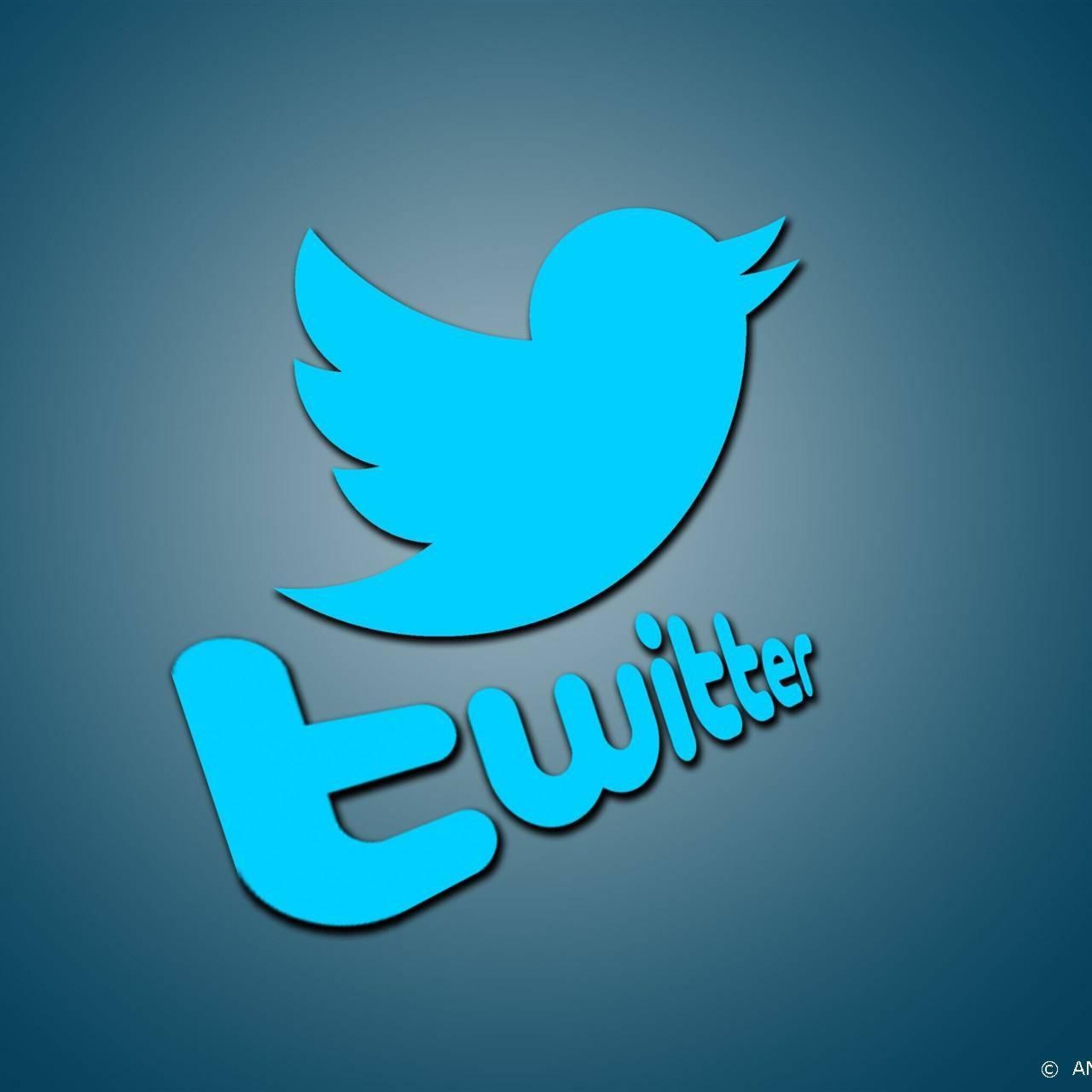twitter maakt toegang externe ontwikkelaars betaald