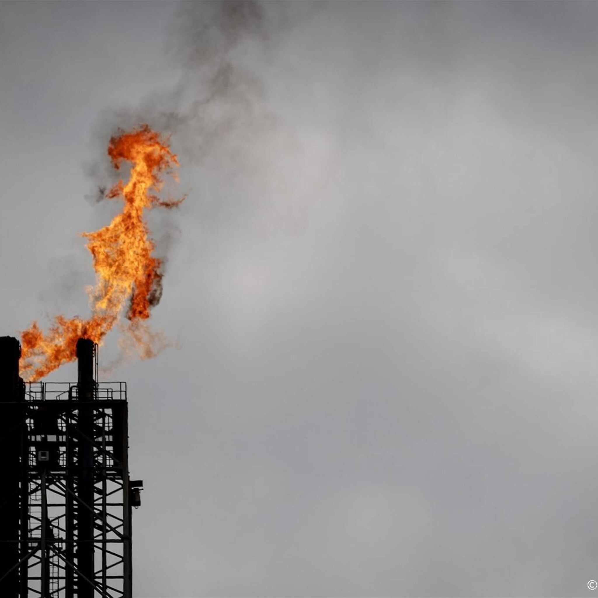 ruim 13 000 nigerianen dienen claim in tegen shell om olielekken