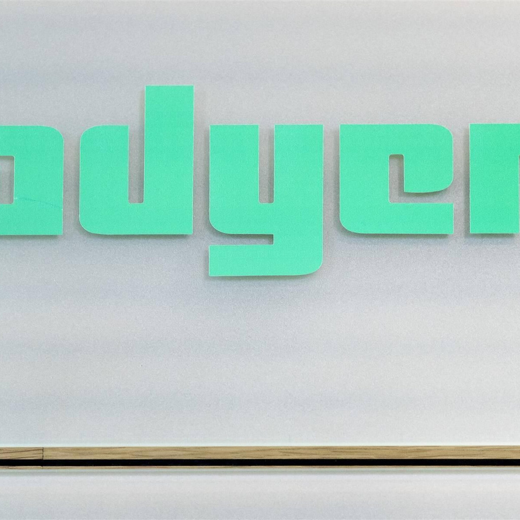 betalingsverwerker adyen schiet omhoog in positieve aex