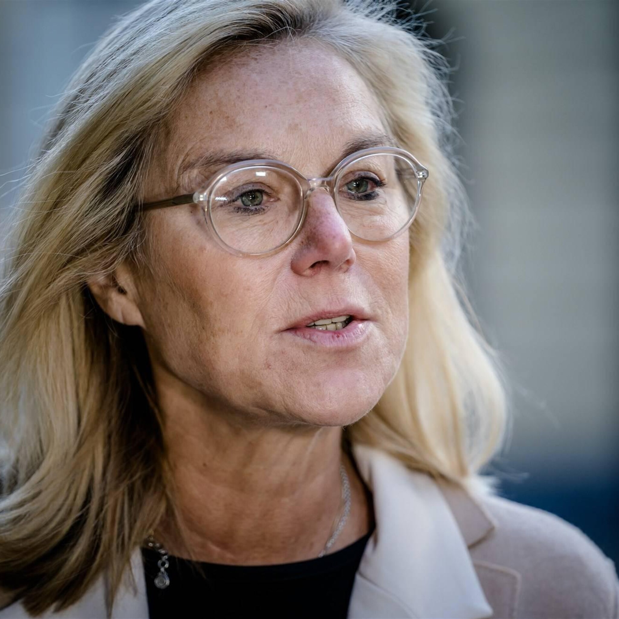 kabinet spreekt op catshuis met bedrijven over vestigingsklimaat