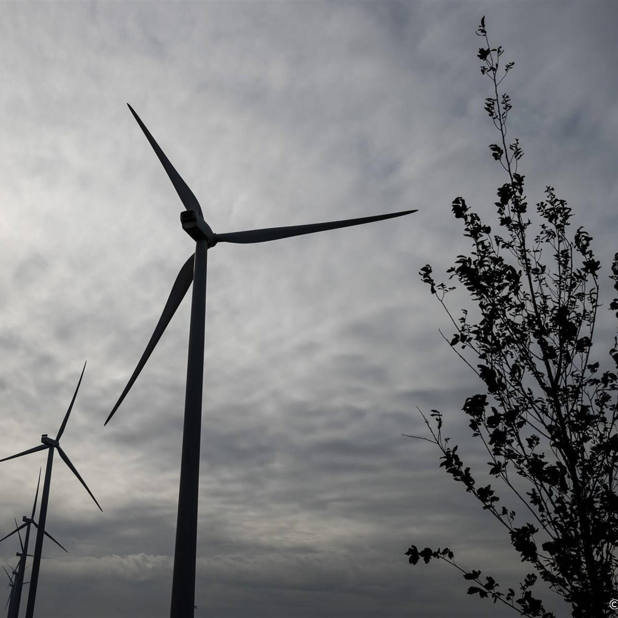 denktank voor het eerst meer groene stroom dan uit gas in 2022