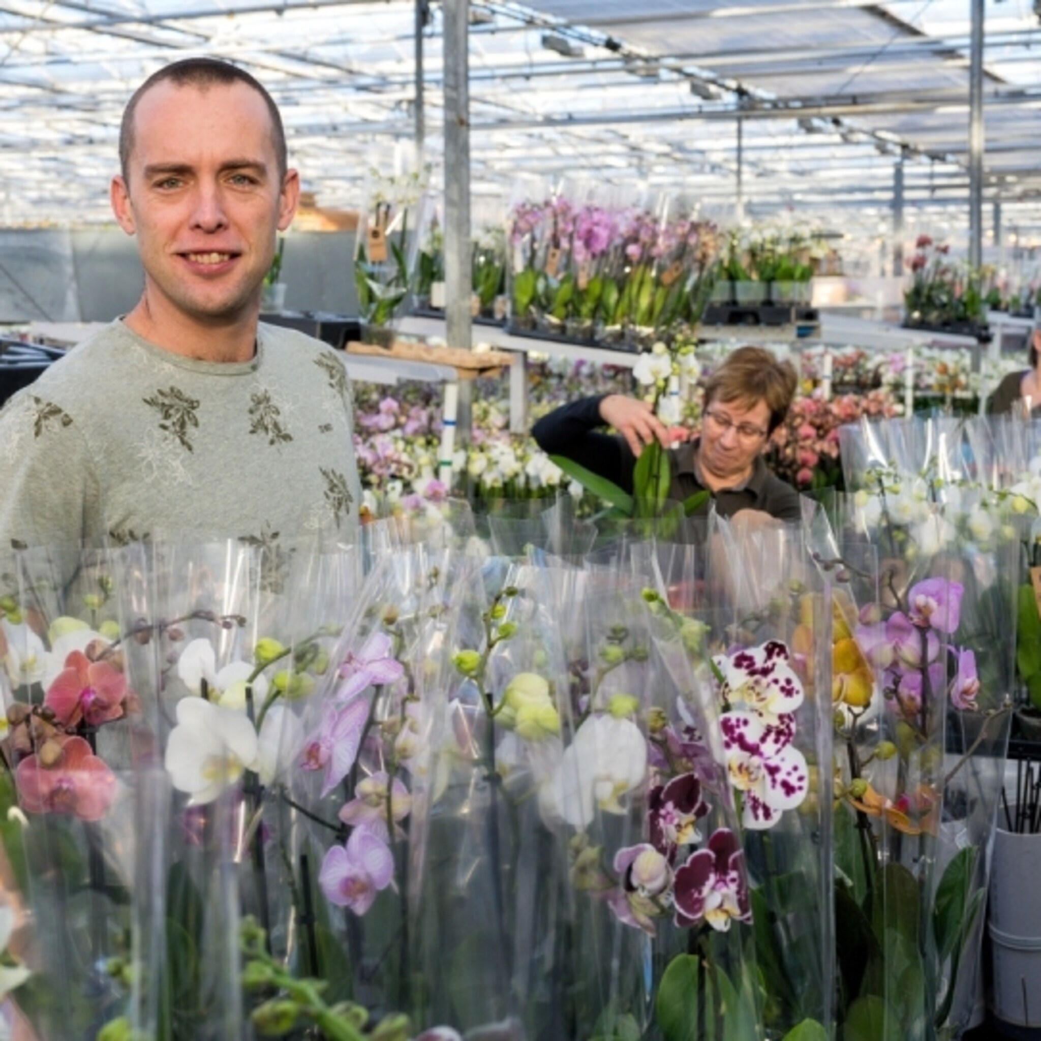 alles rond de orchidee is duur en dus stopt wilco met zijn kwekerij